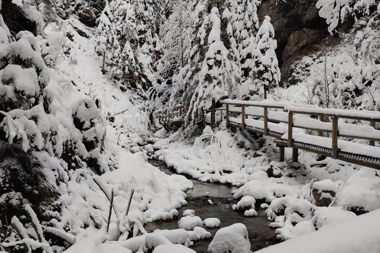 media_FQJZBAPU95P8DUJ7