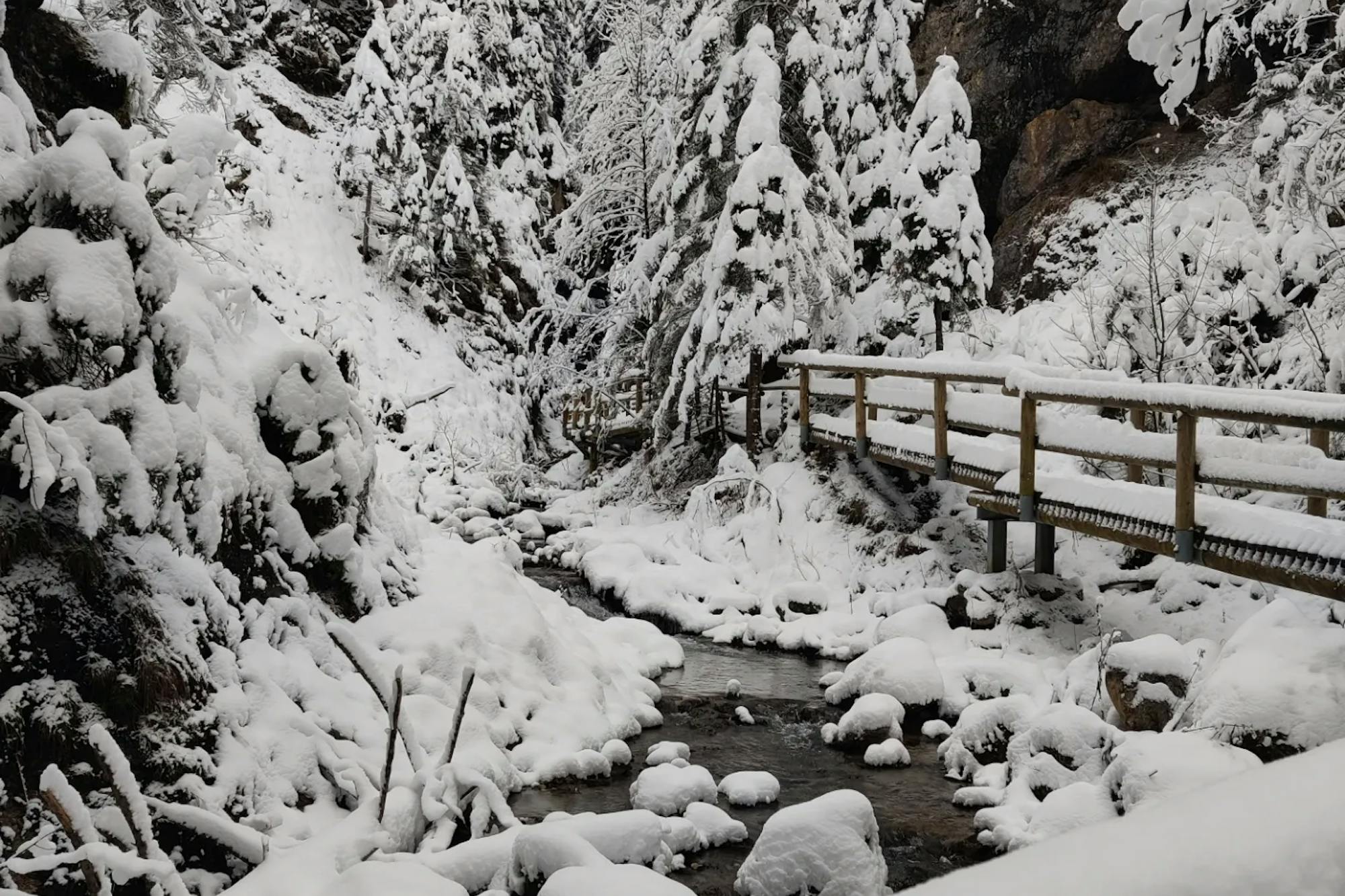 media_FQJZBAPU95P8DUJ7