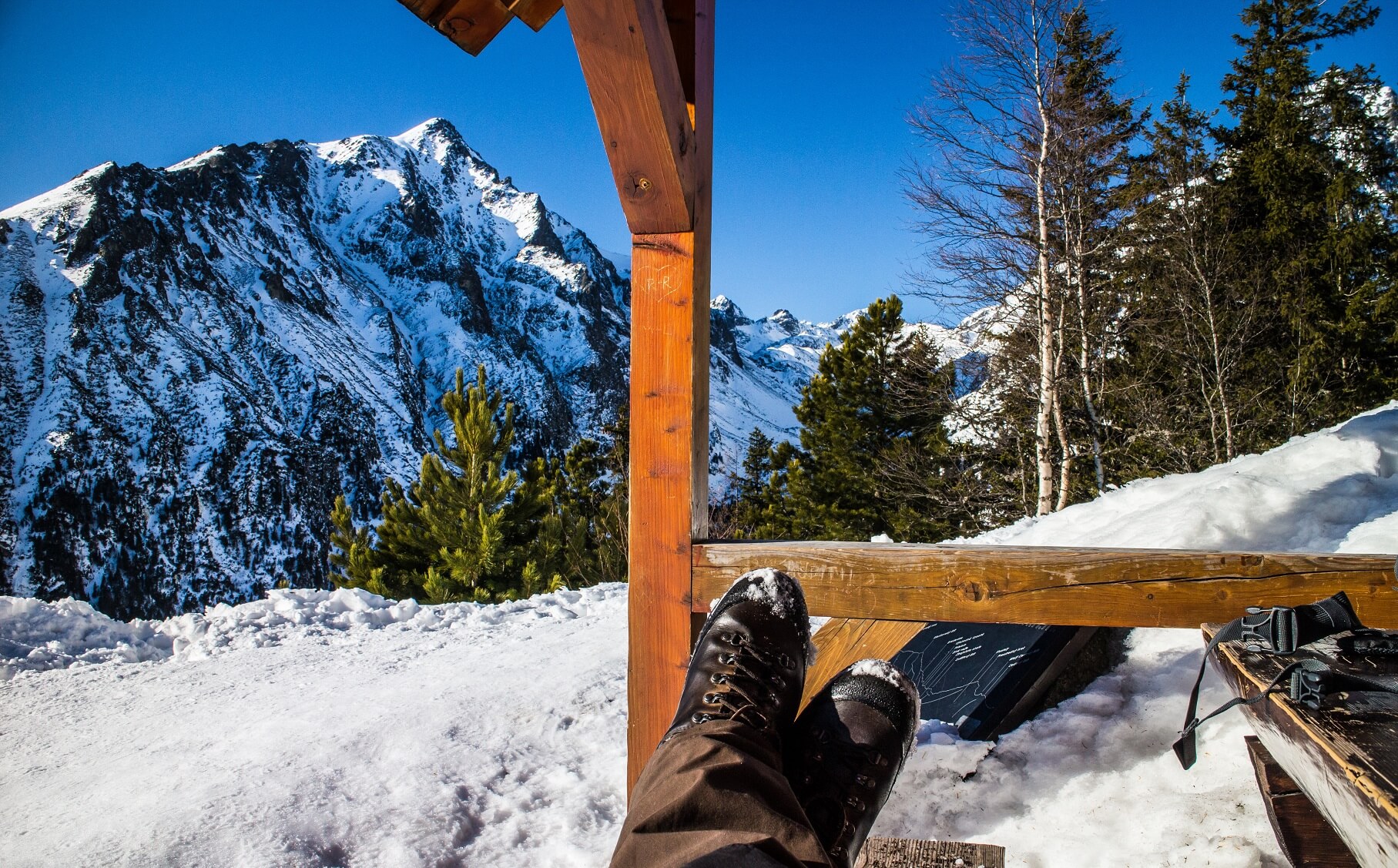 media_M5GNVZ7M6ZCVGU78