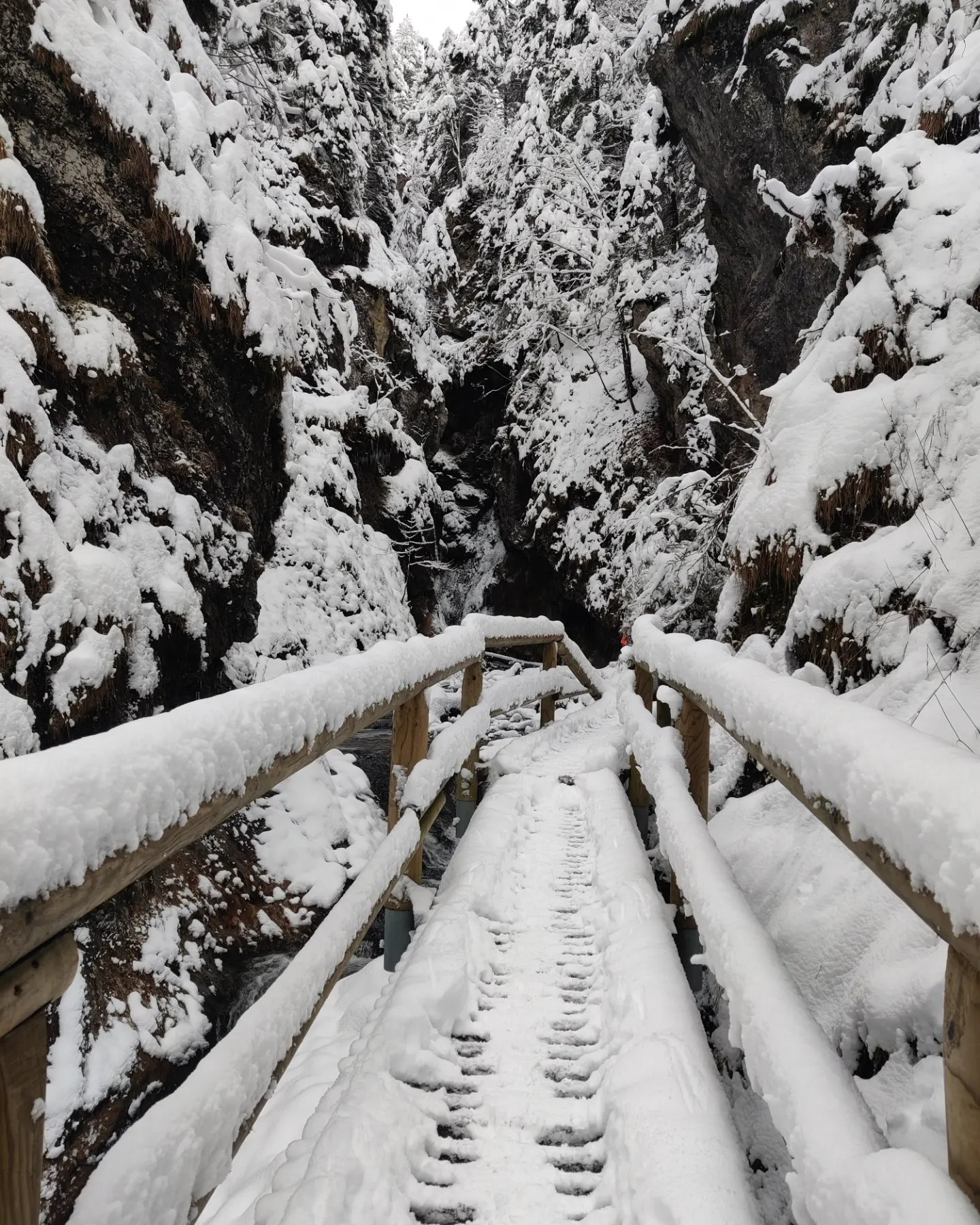 media_P2T28SG7KTHJTYJS