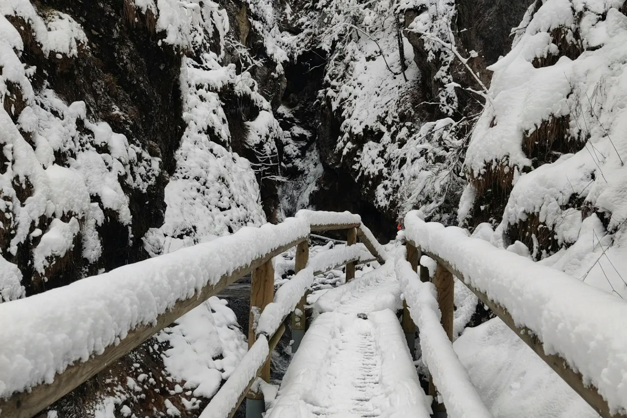 media_P2T28SG7KTHJTYJS