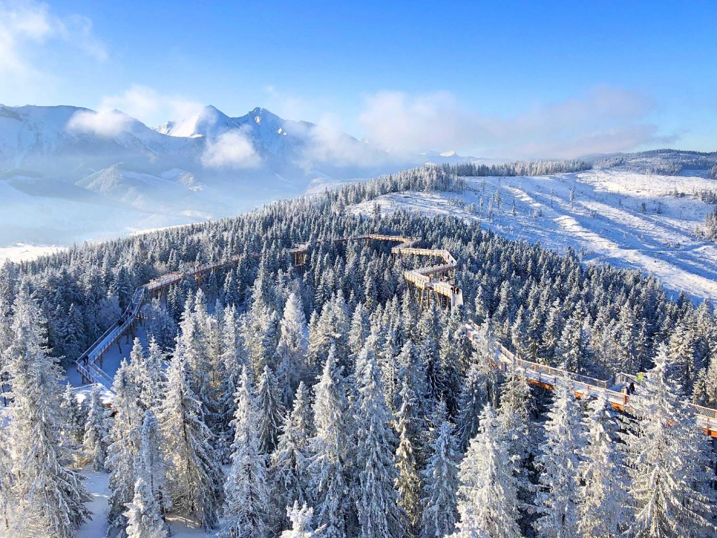 media_RDRNNRNGDZBSSX4C