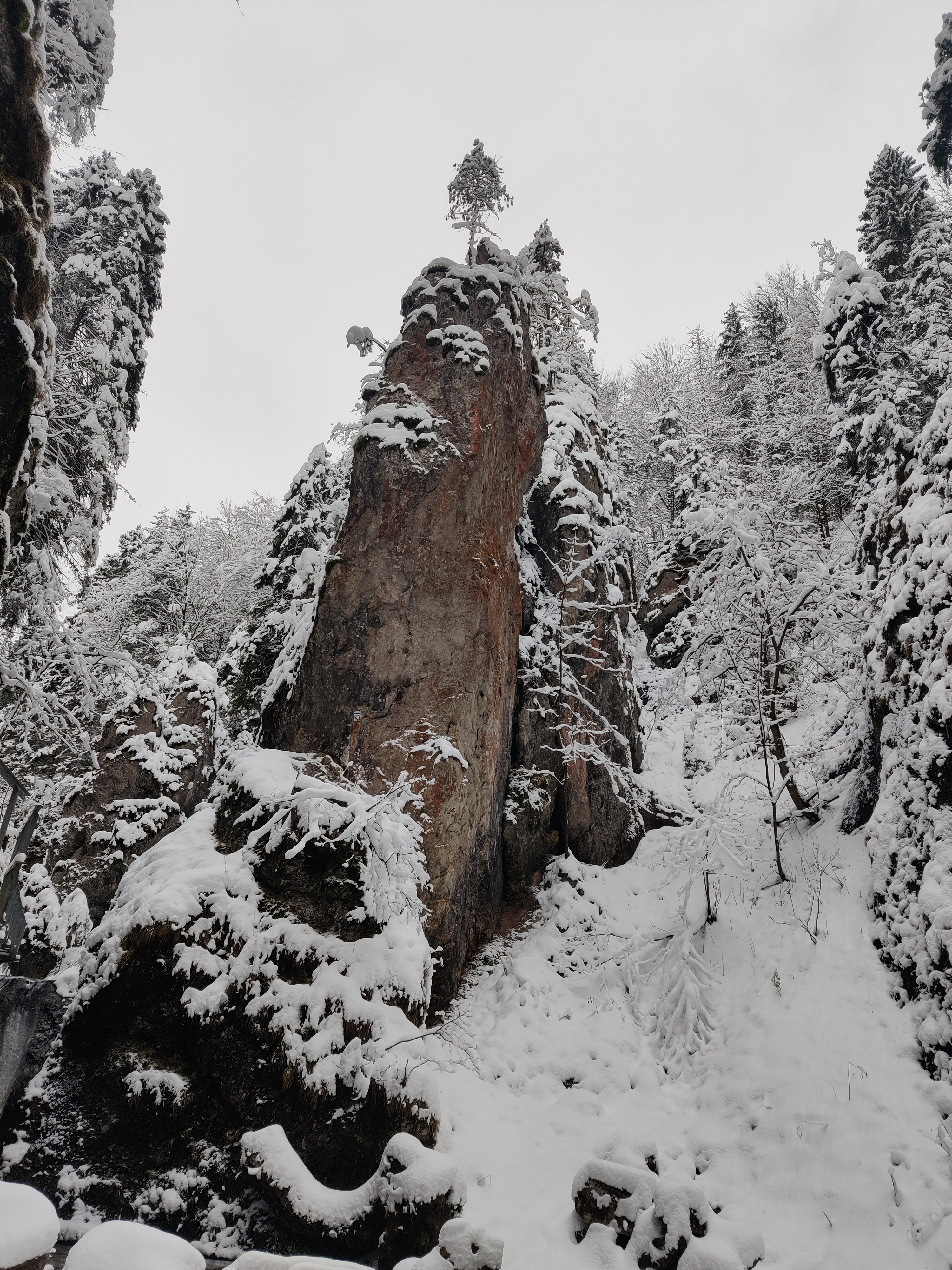 media_U6DZFTTH95RUH7P6