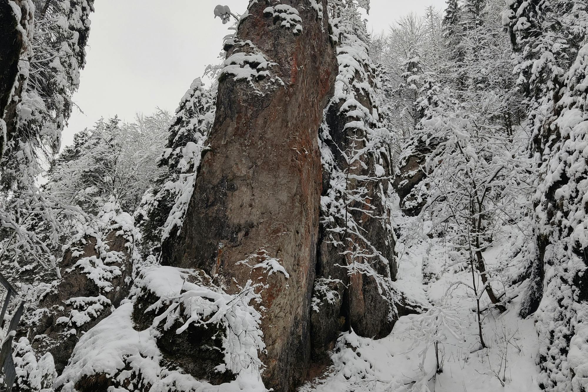 media_U6DZFTTH95RUH7P6