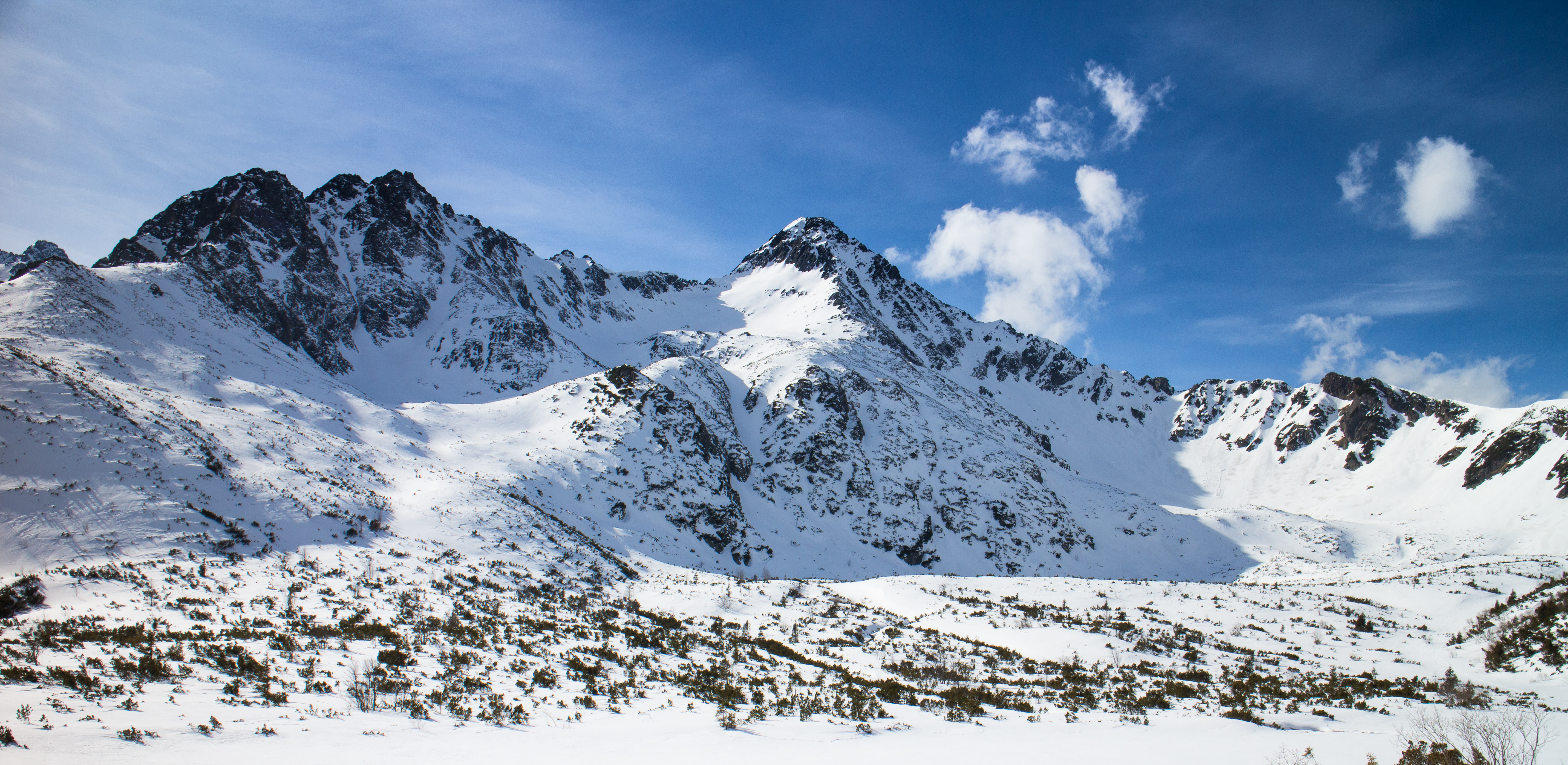 media_VM8CQDXYW7TDF8B8