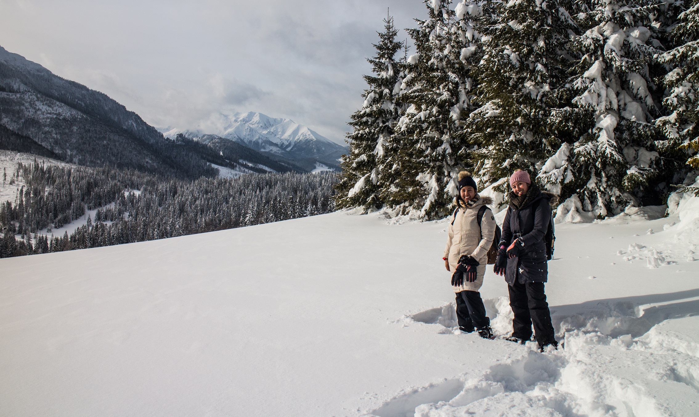 media_X2ABUZ8R3XZRCCBT