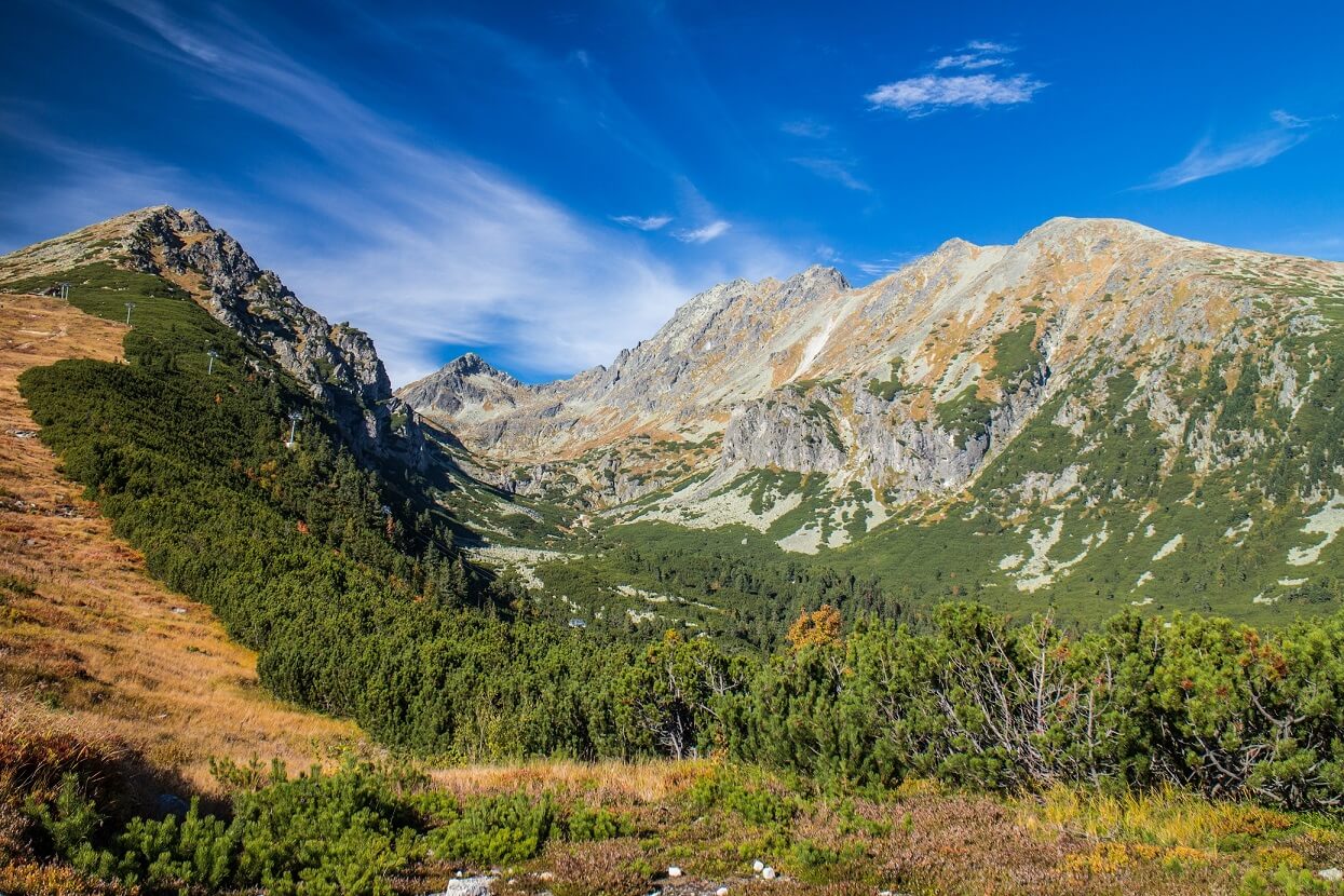 media_YA5VER7CAZPMLL9C