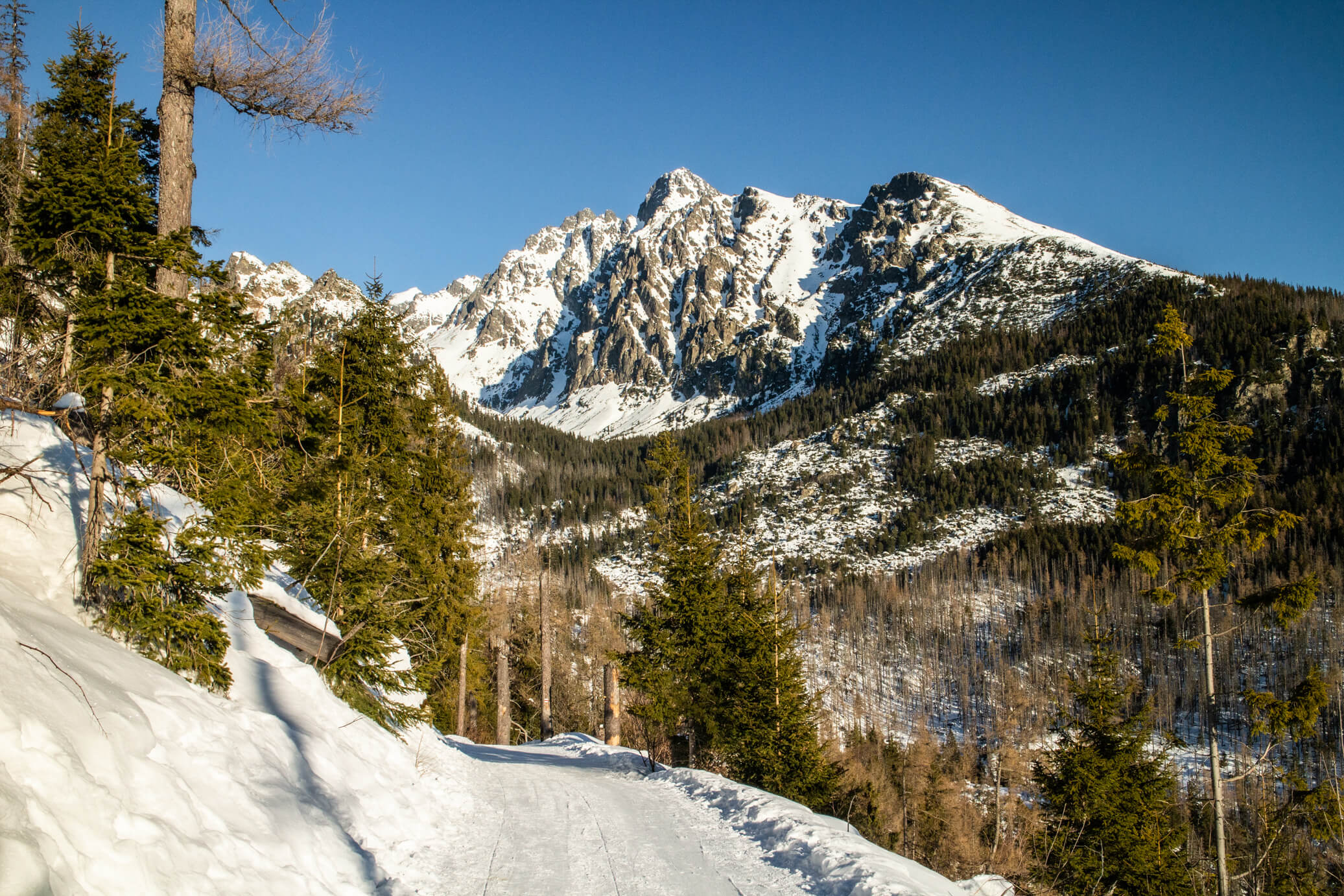 media_YVU6ZCFM4RGTE3RK