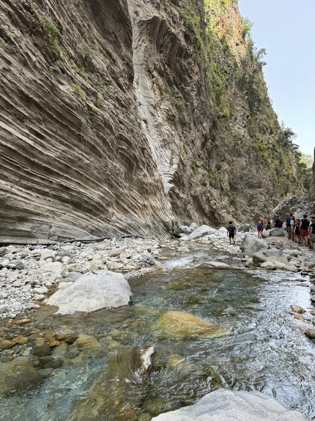 media_3D8JD56PC9YXREQP