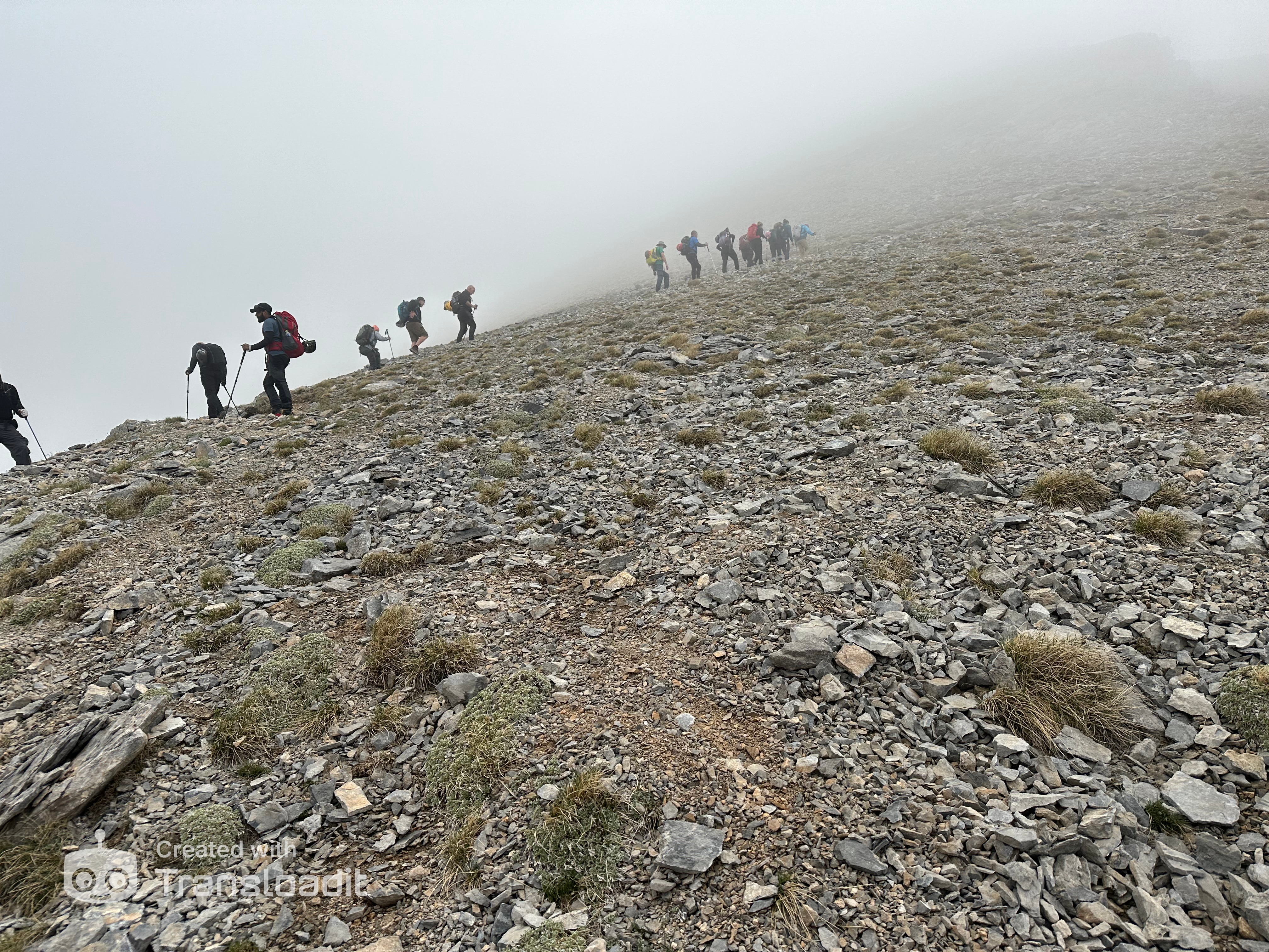 media_8DVF5KRERM66A77N