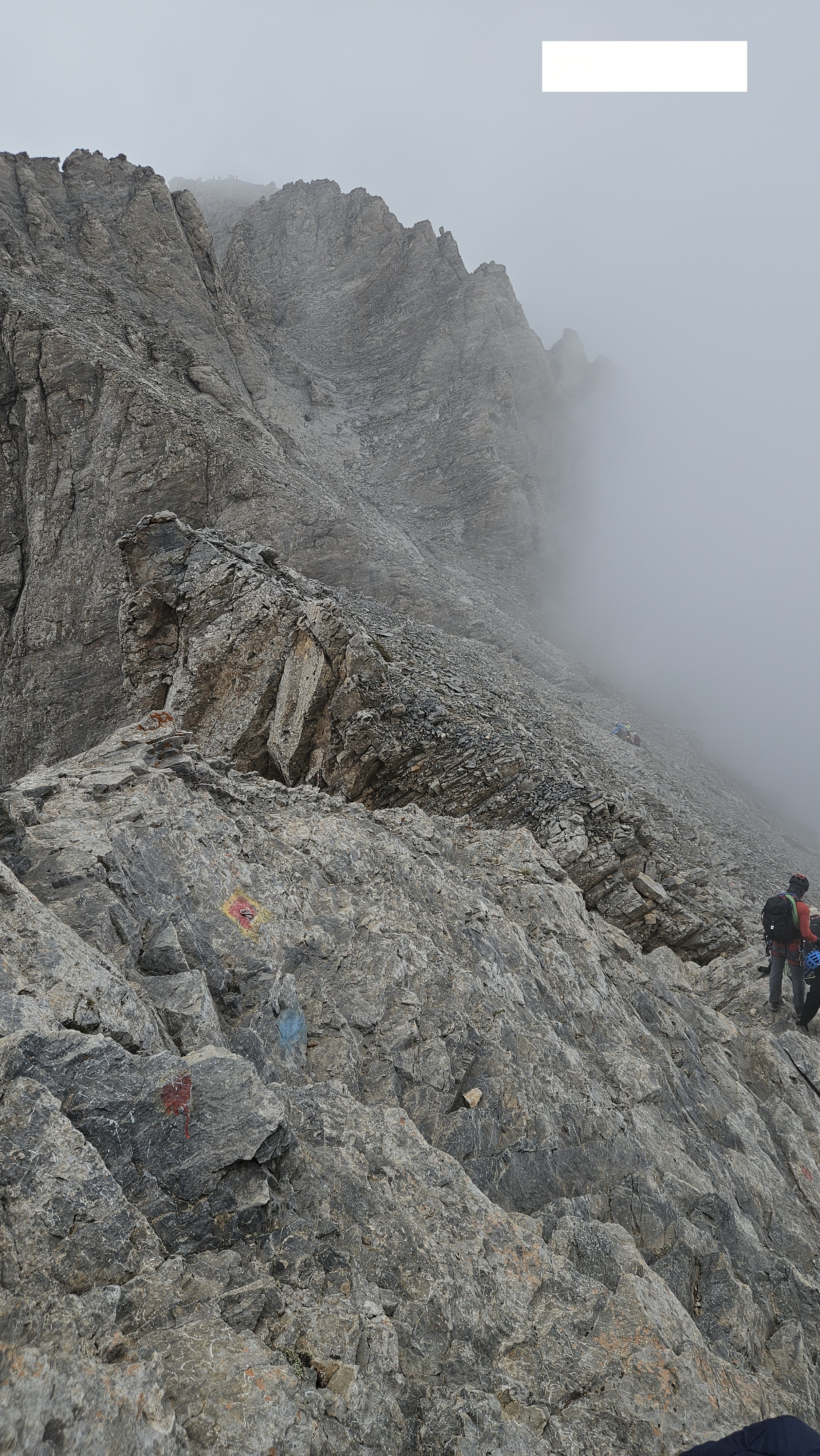 media_CGTQFLB4CHPSJZJV