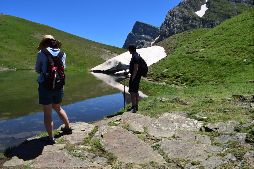 media_L4MSEERL7FK2T33T