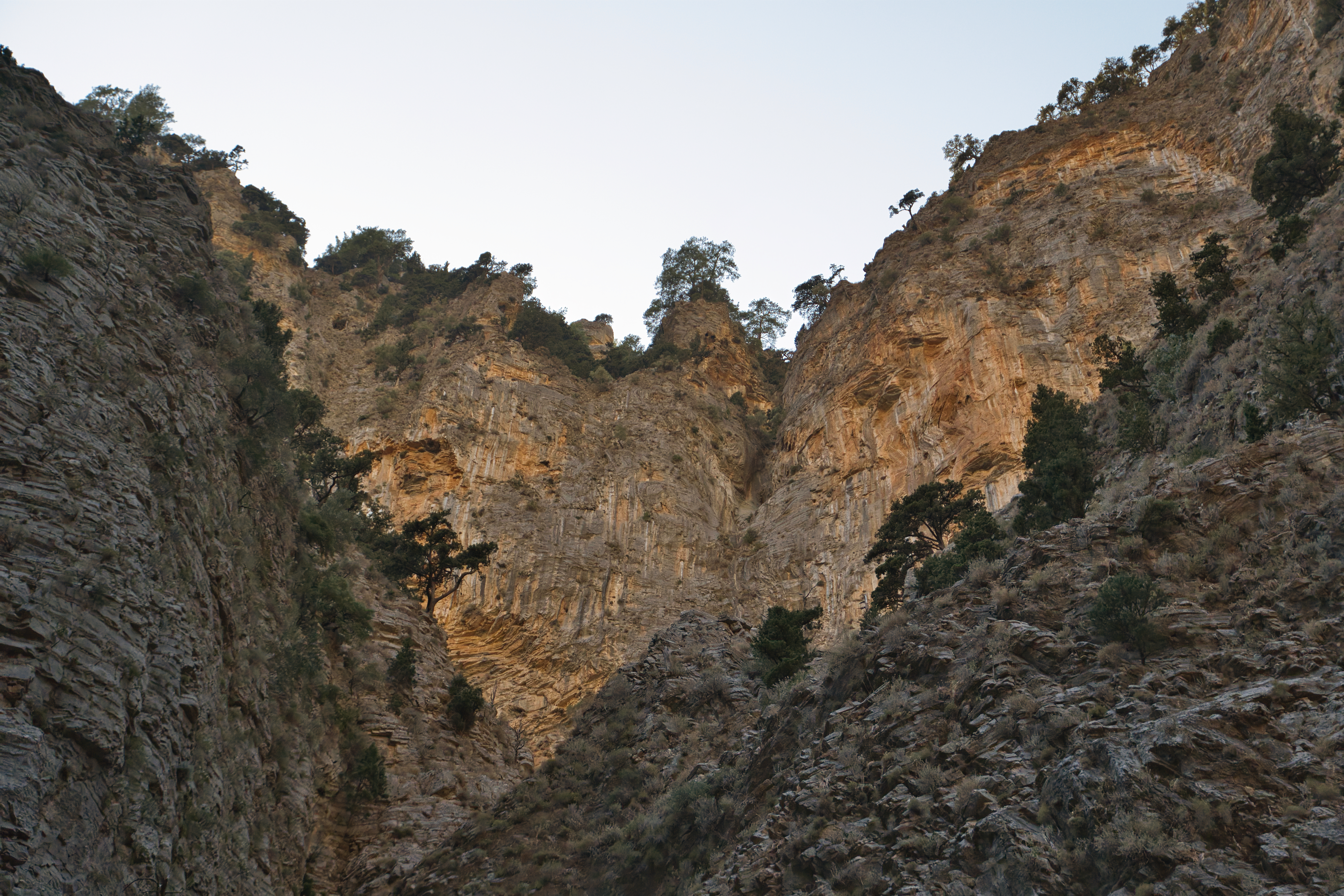 media_N5HHSJLBVM5Y95C2