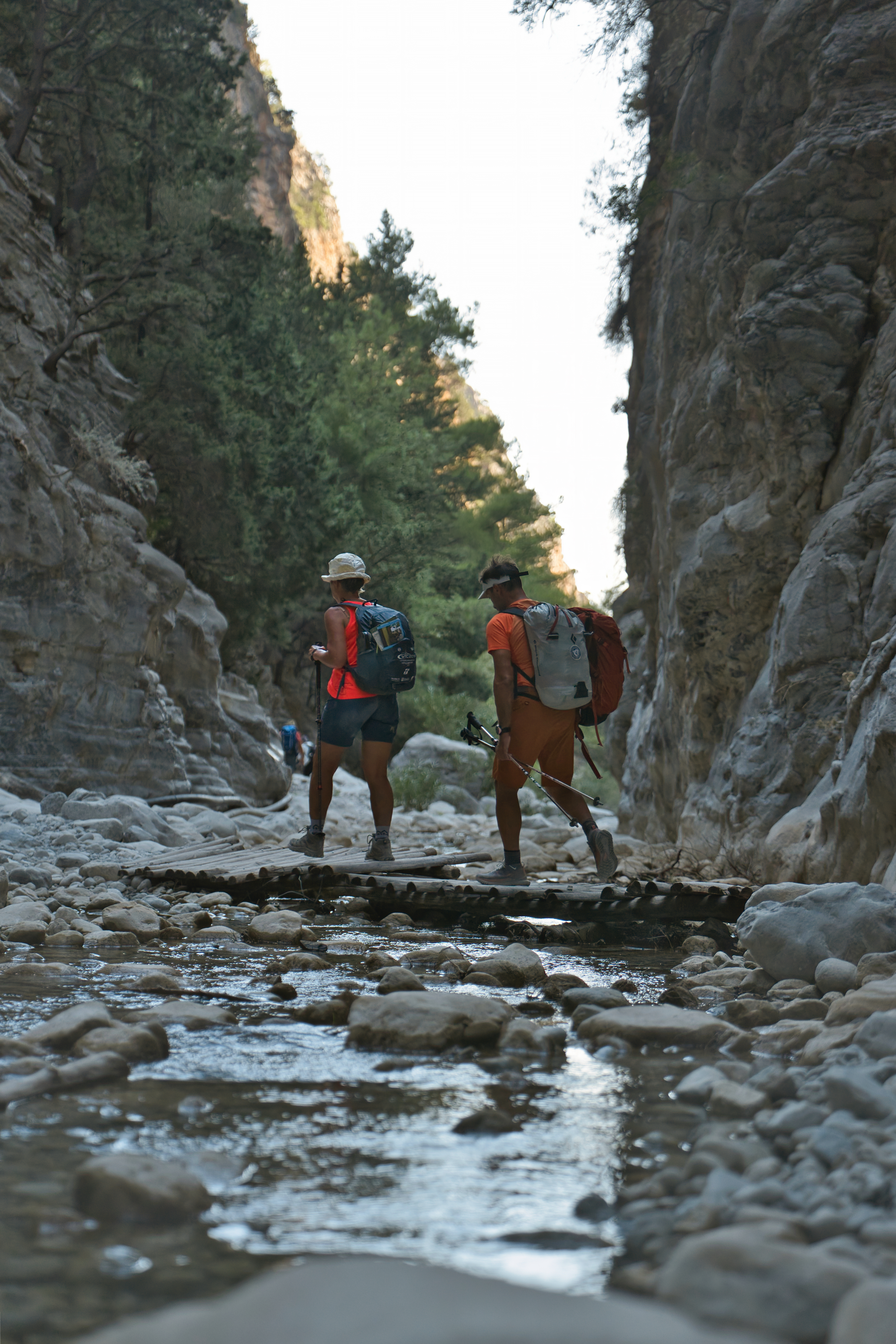 media_NFY85TYGMGJ5FUSR