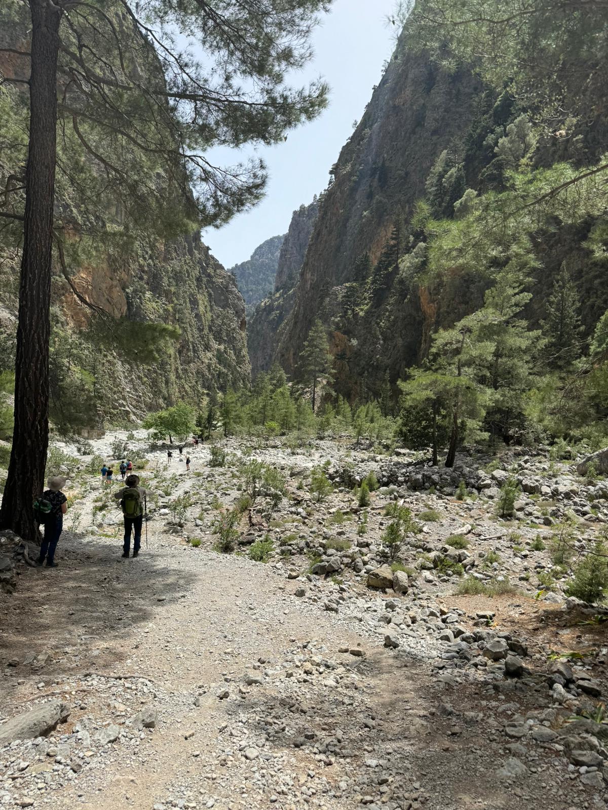 media_QGY8R9KF69DN7SPQ