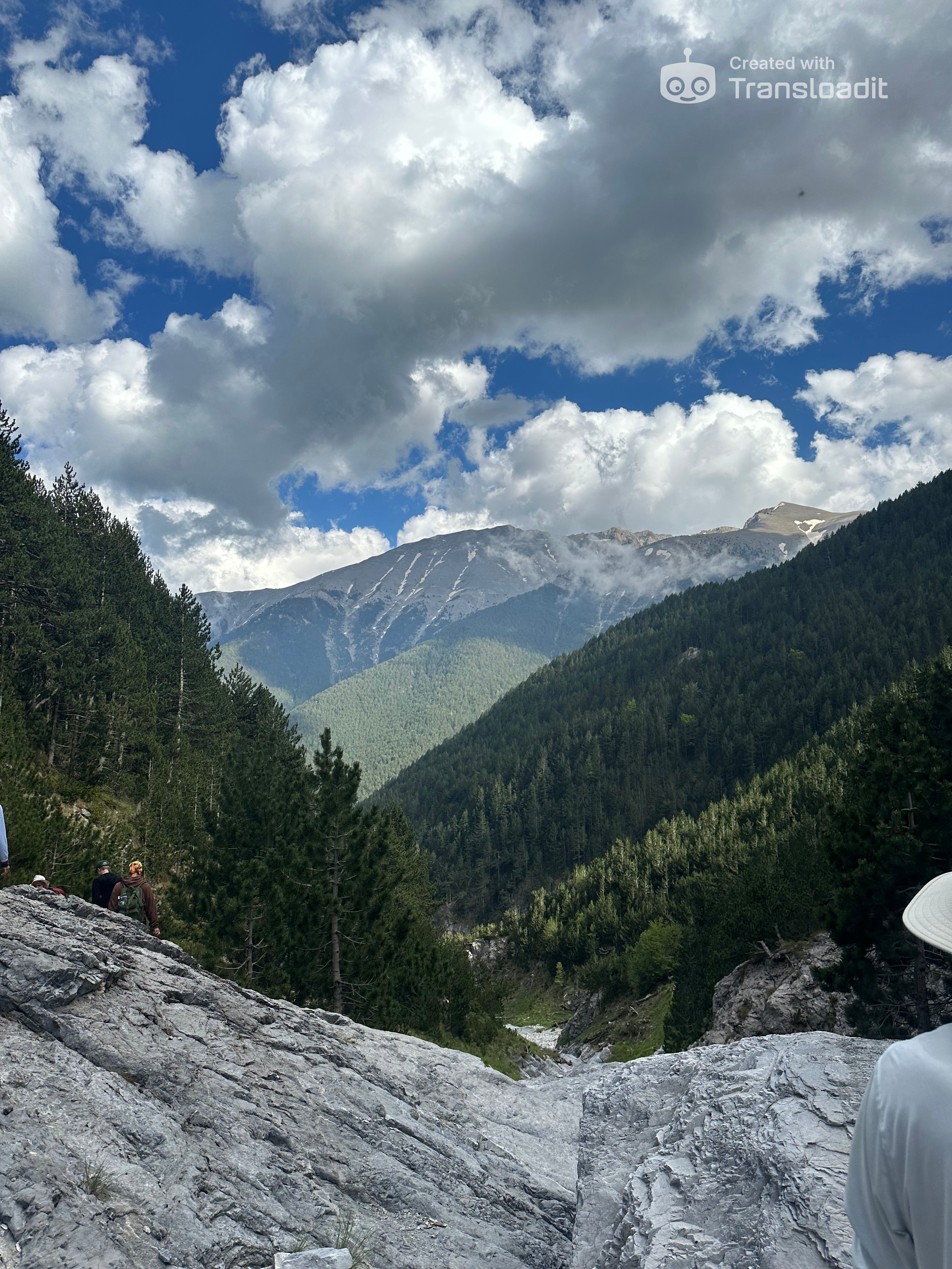 media_R5NGVVUH5UZLVUHA