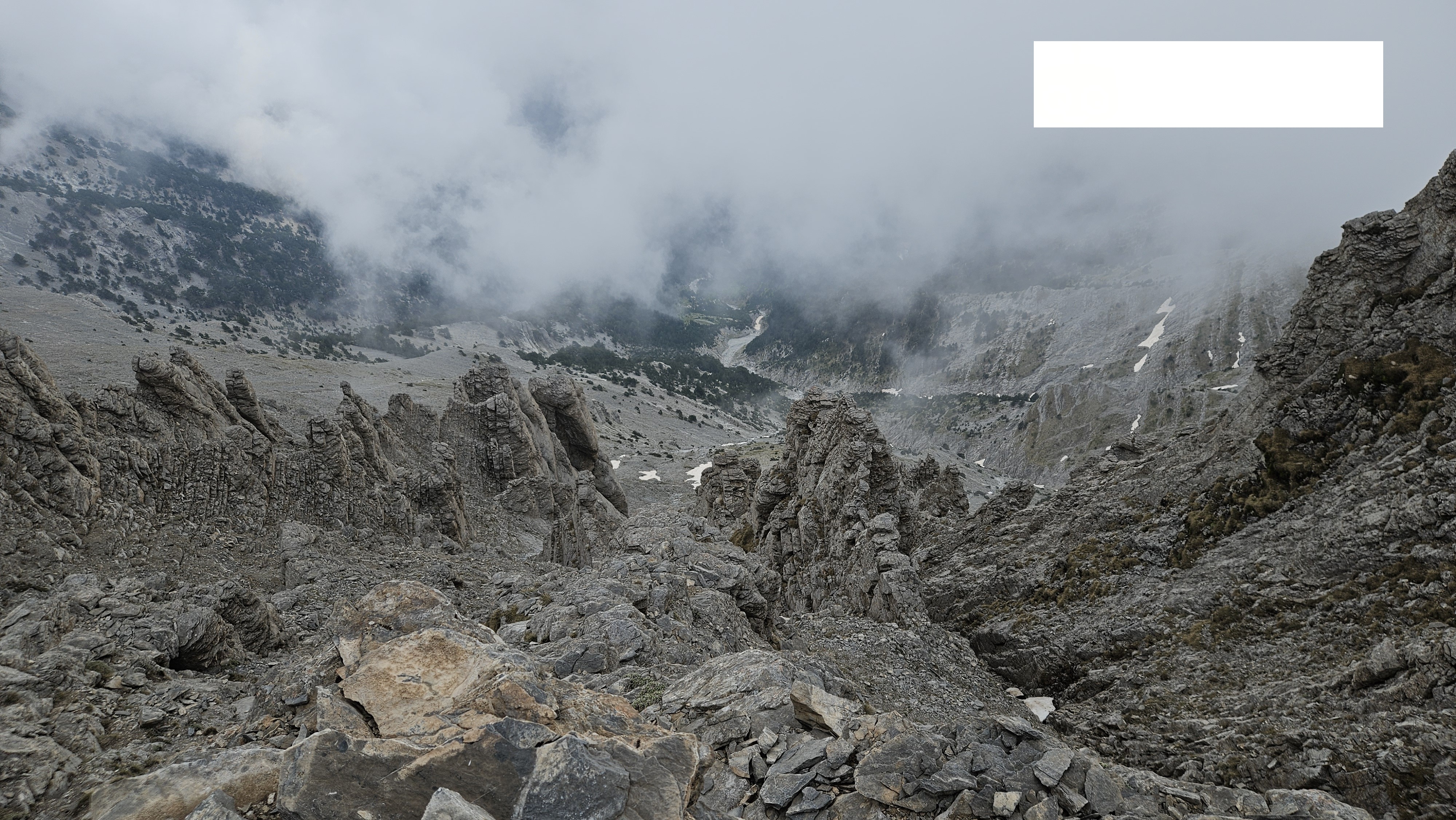 media_TMCH5M8VAQ6B88E2