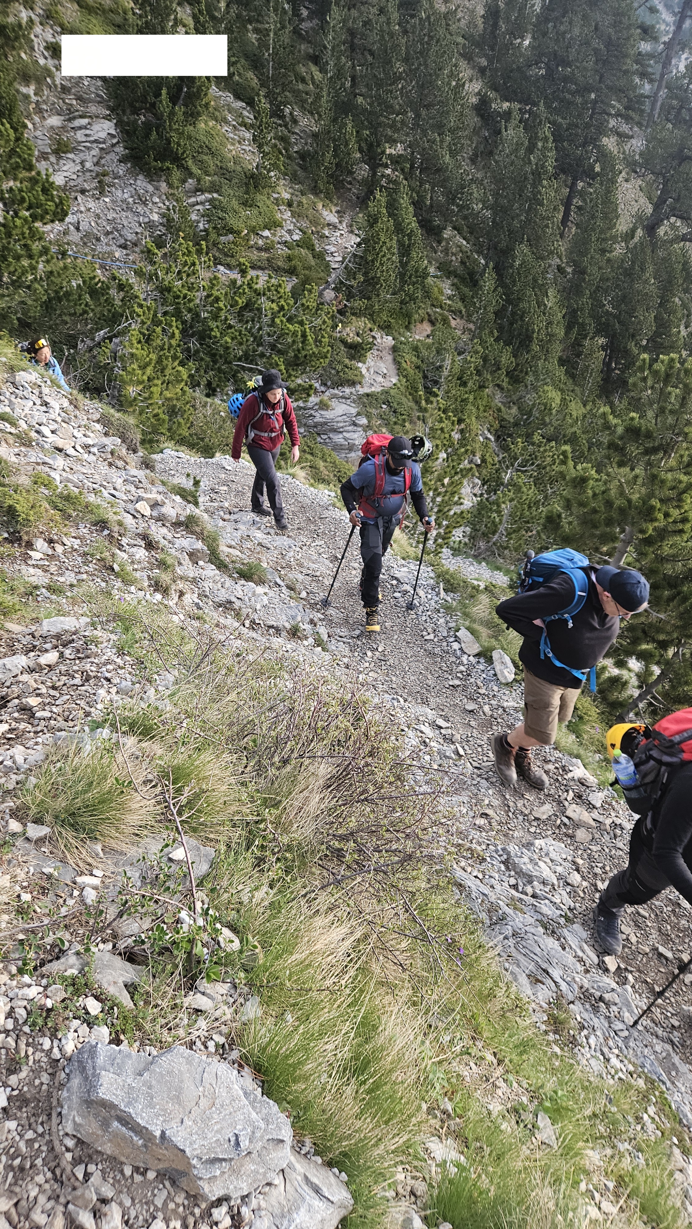 media_UZ2EBV7MS2LFV3Y3