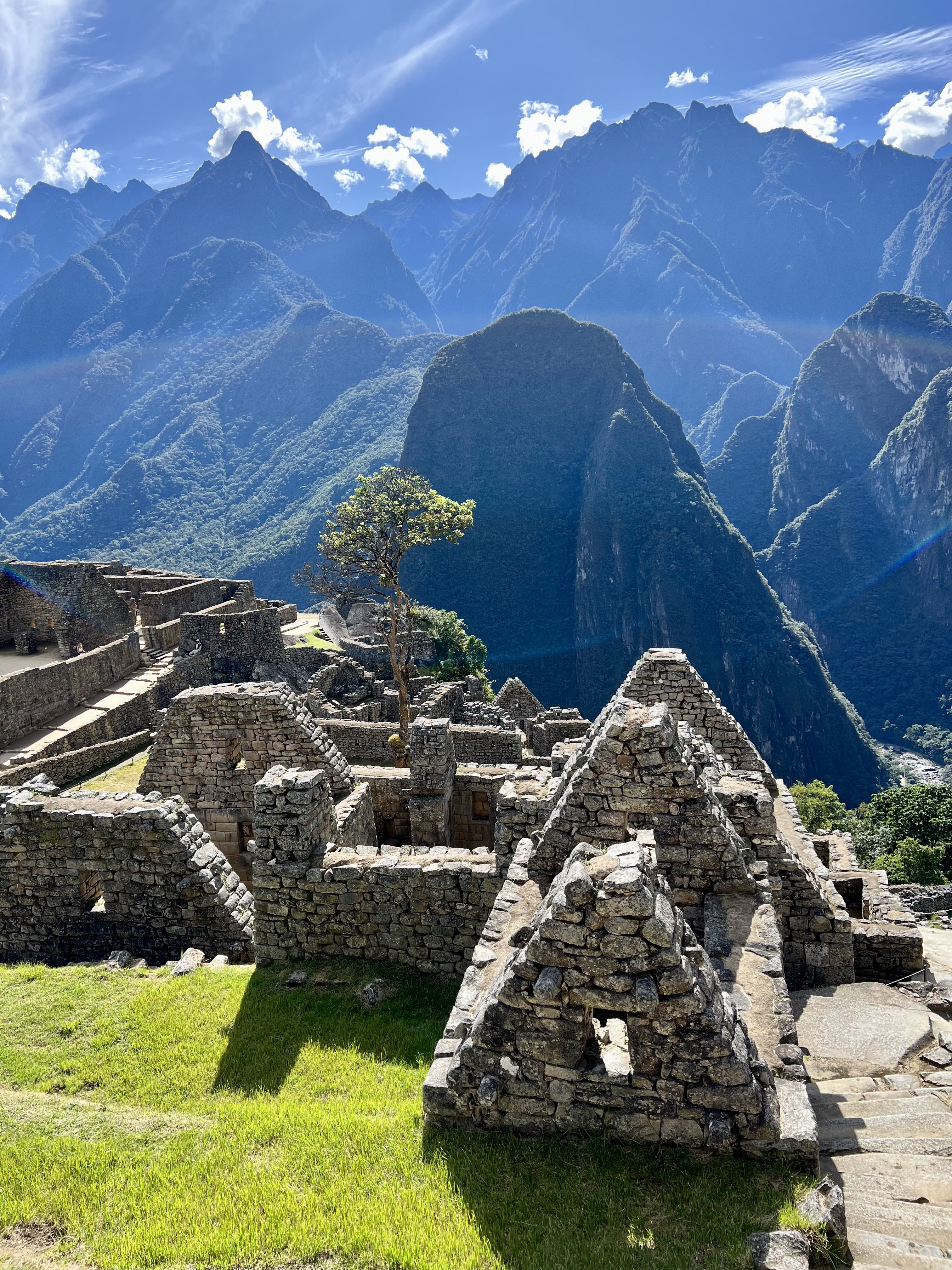 media_8VXLTUGTN85NHT2L