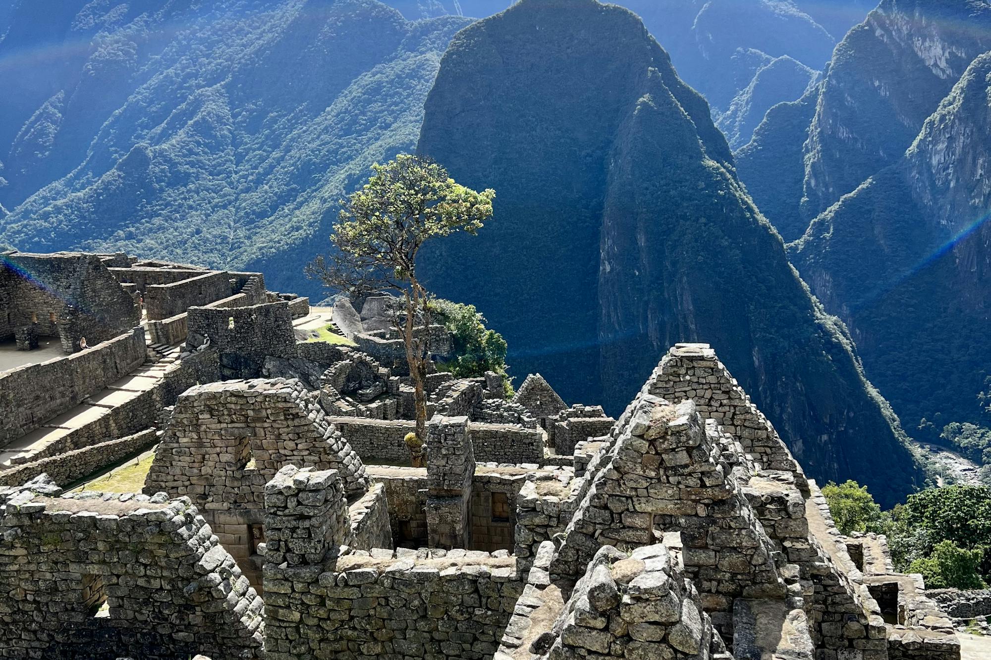 media_8VXLTUGTN85NHT2L