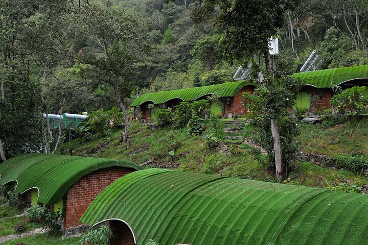 media_BVD6JP88MHTGHSX9