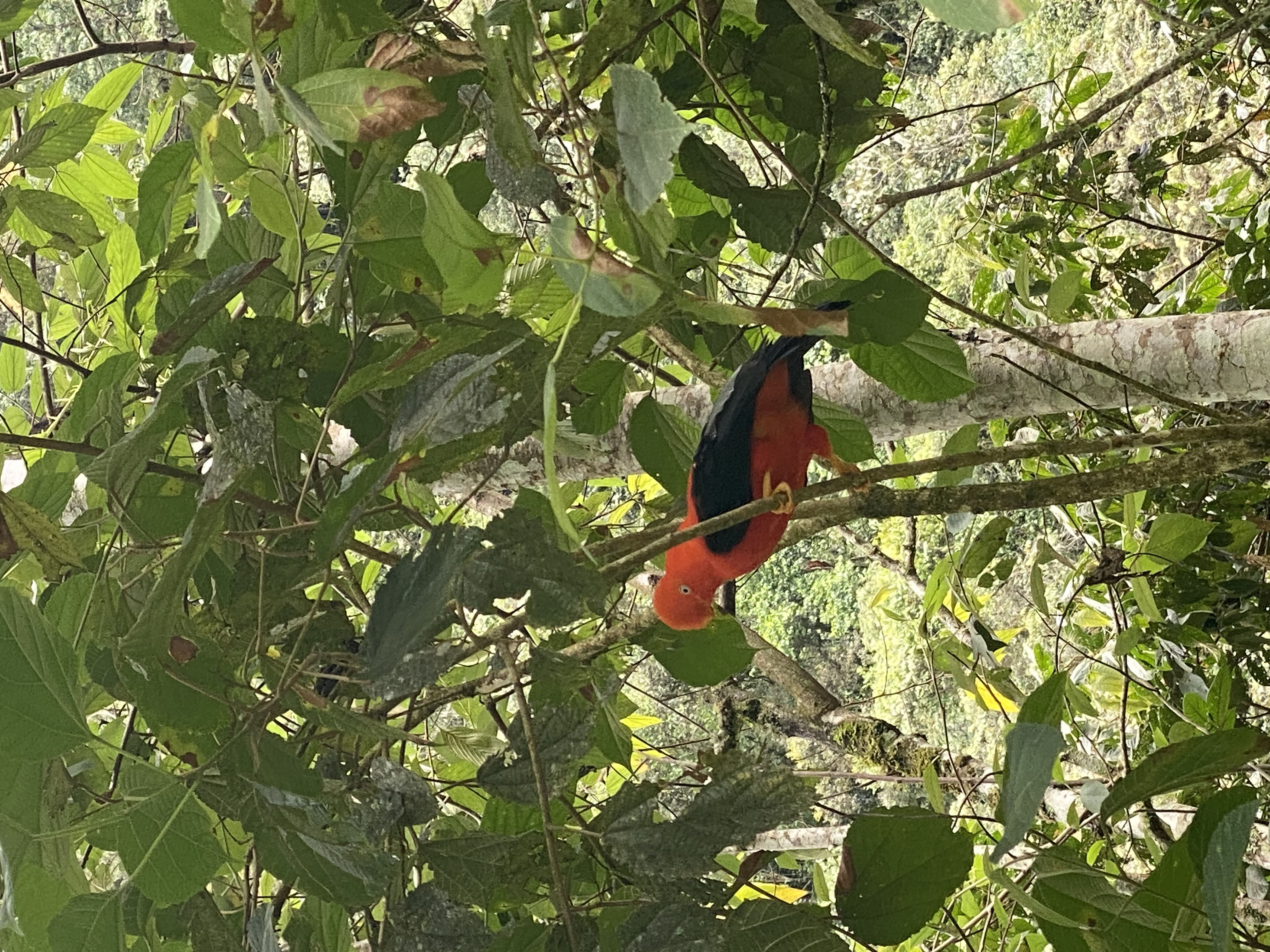 media_QY7LNJCFBA796H45