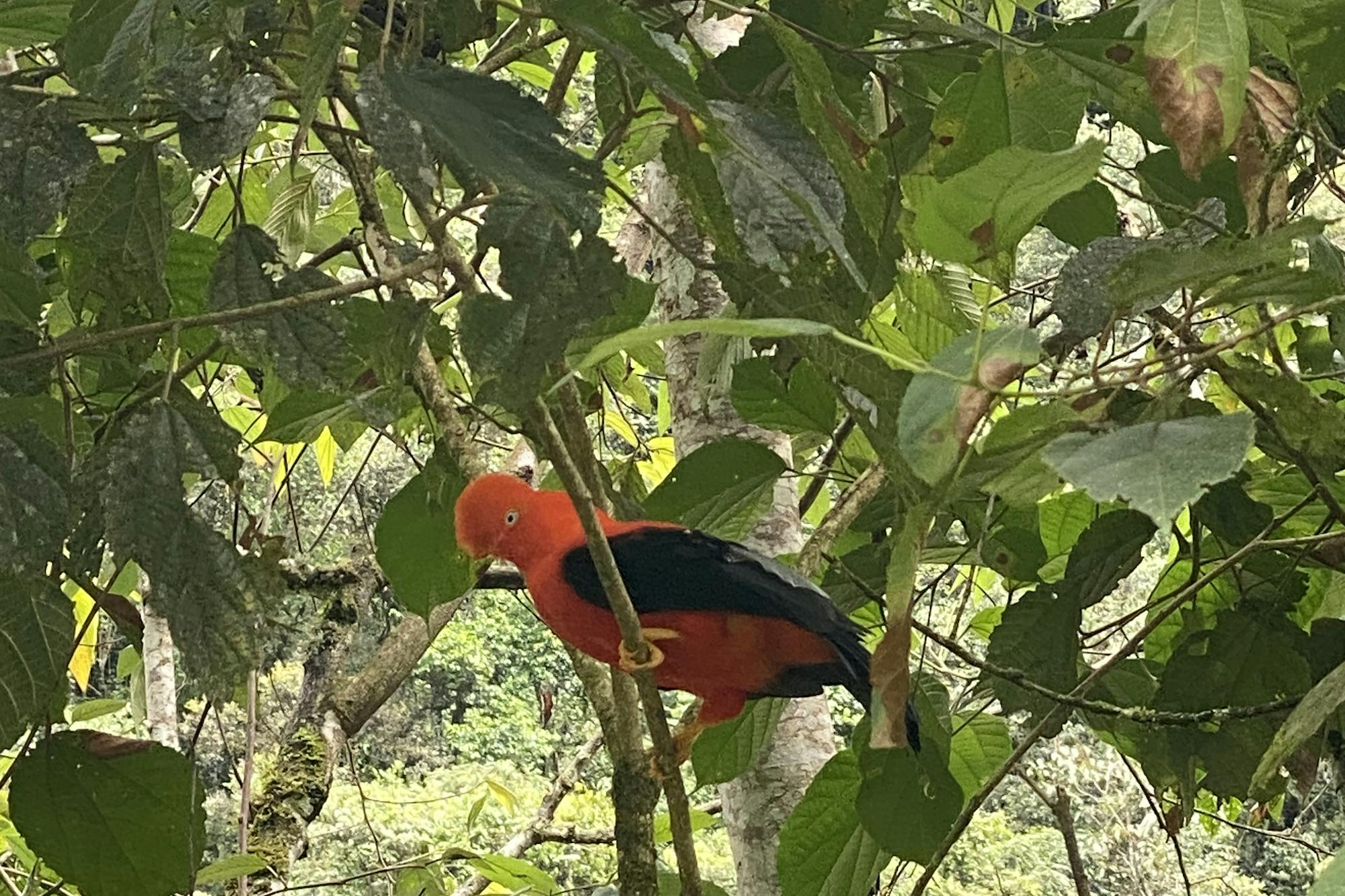 media_QY7LNJCFBA796H45