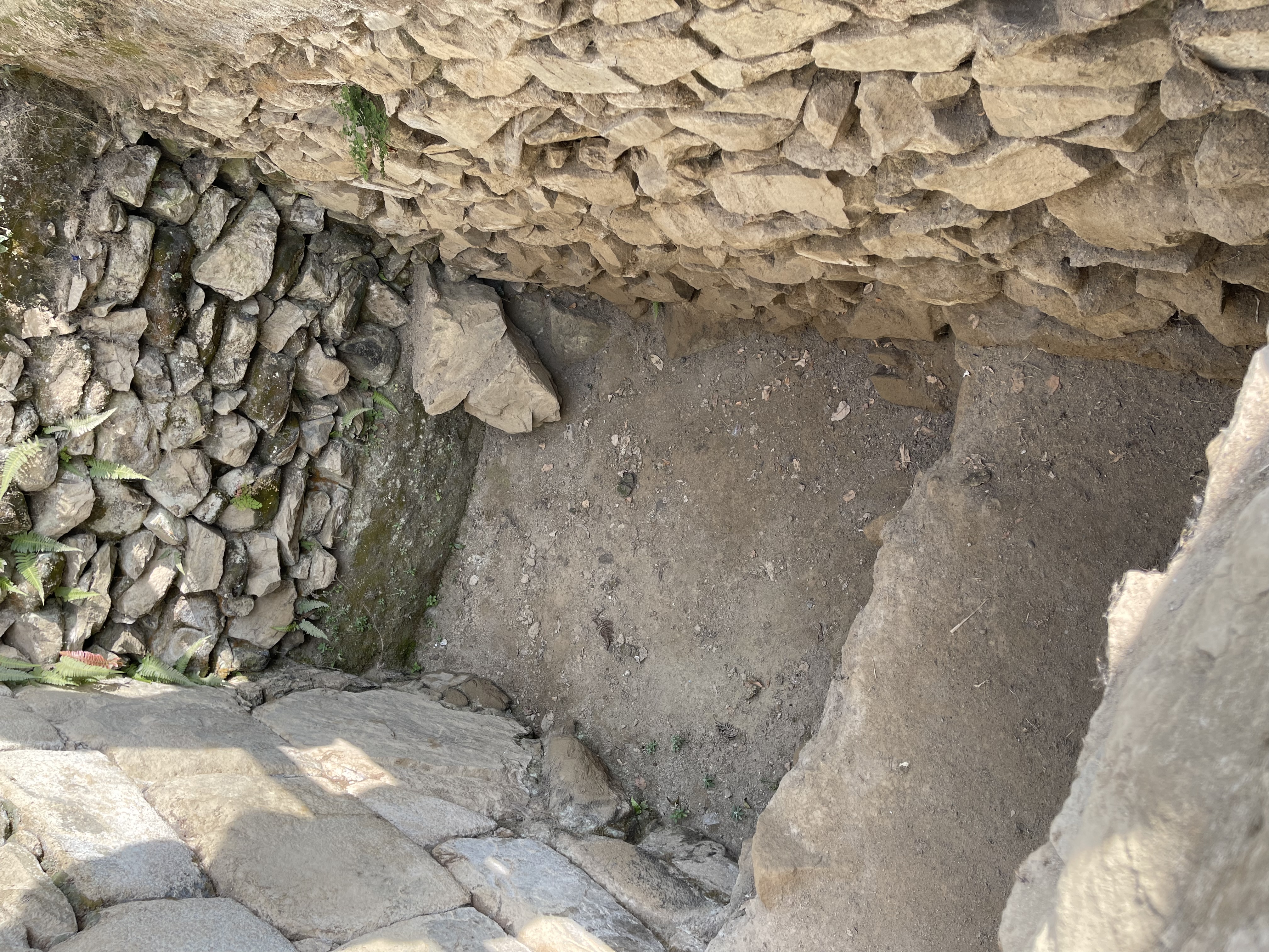 media_U64NAQKTBPXF2UW8