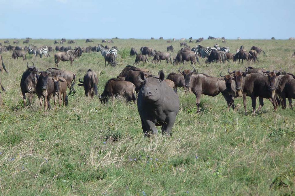 media_3UXXNB7B83R9SPTY