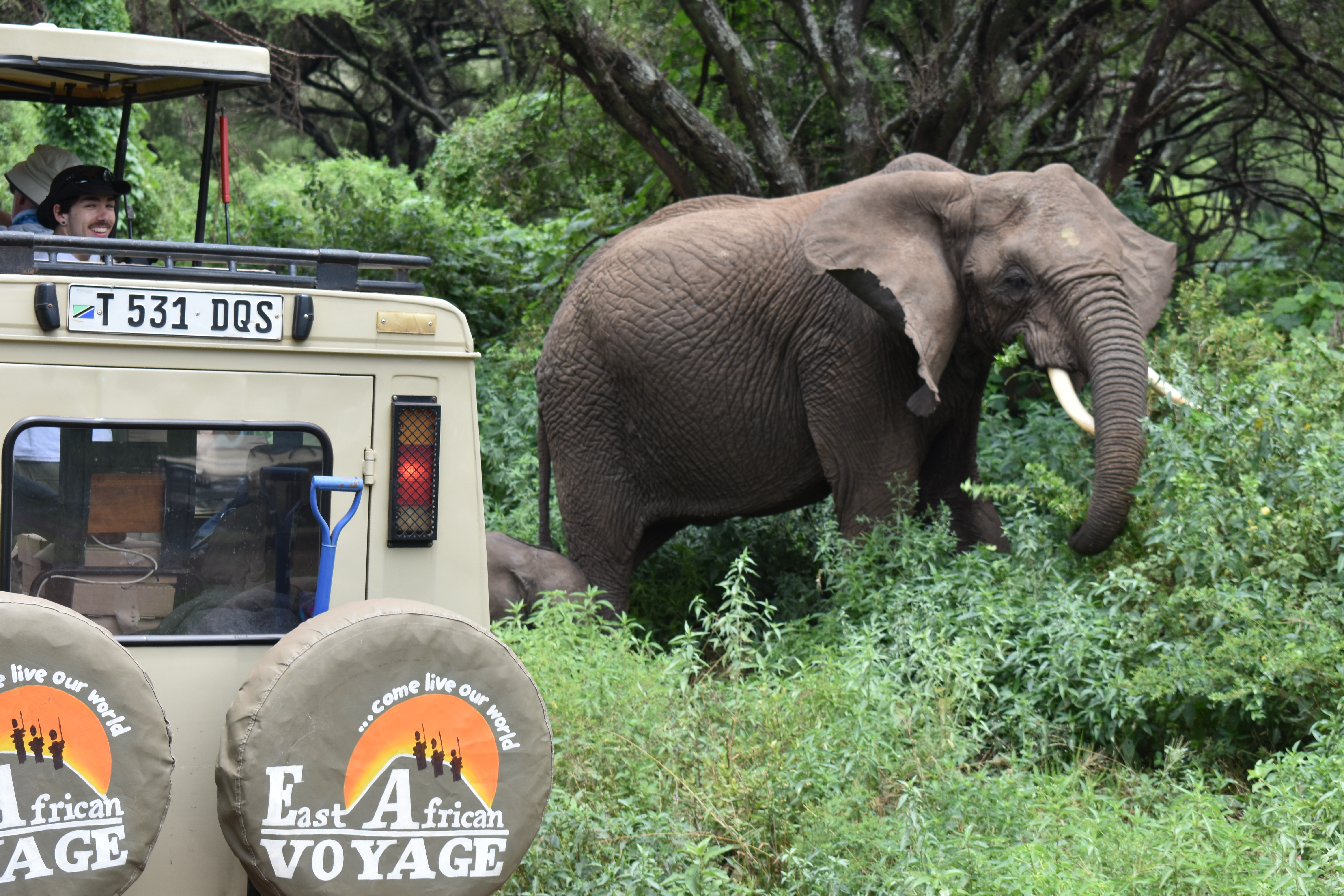 Tarangire, Ngorongoro & Lake Manyara National Park