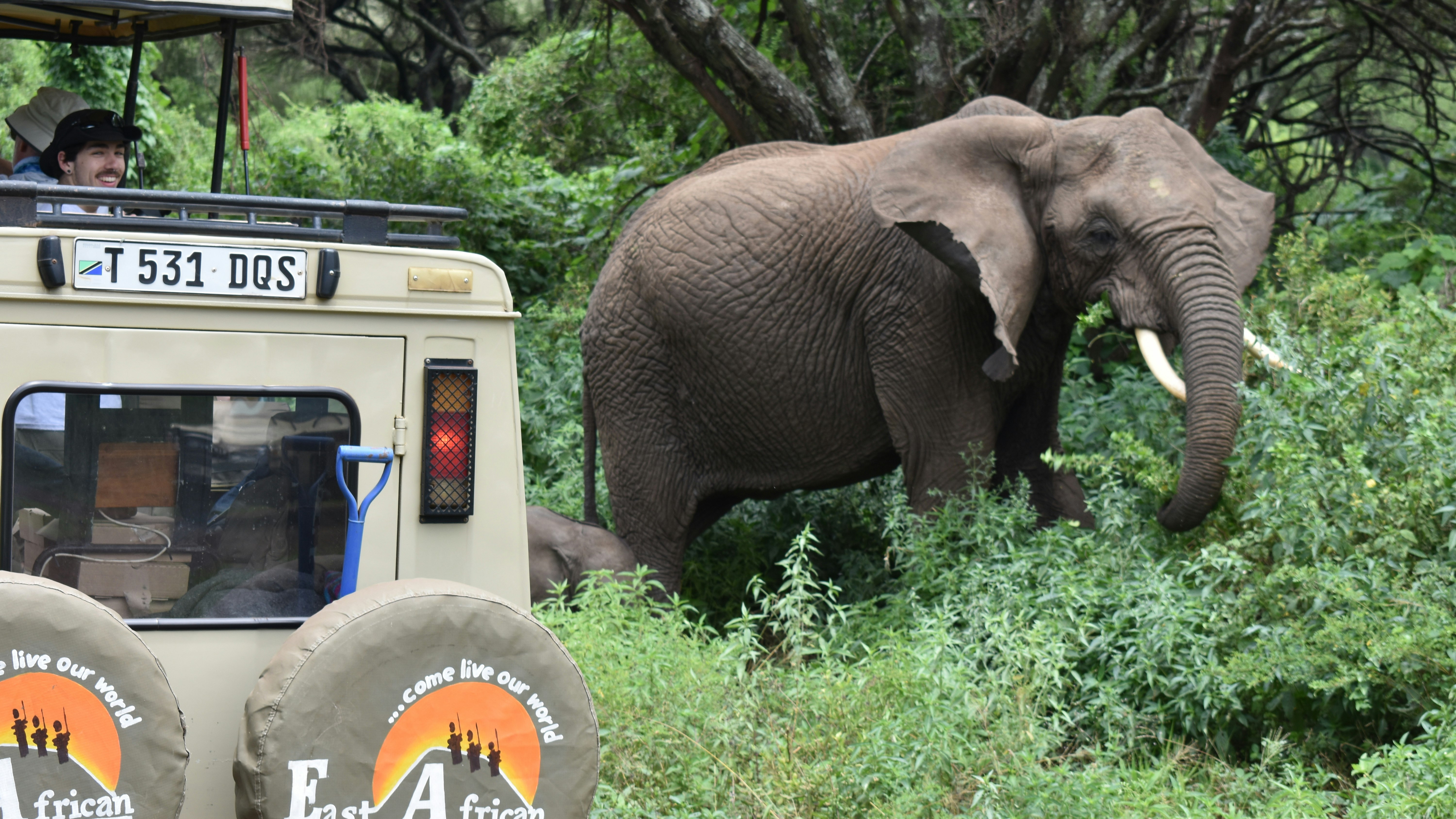 Tarangire, Ngorongoro & Lake Manyara National Park