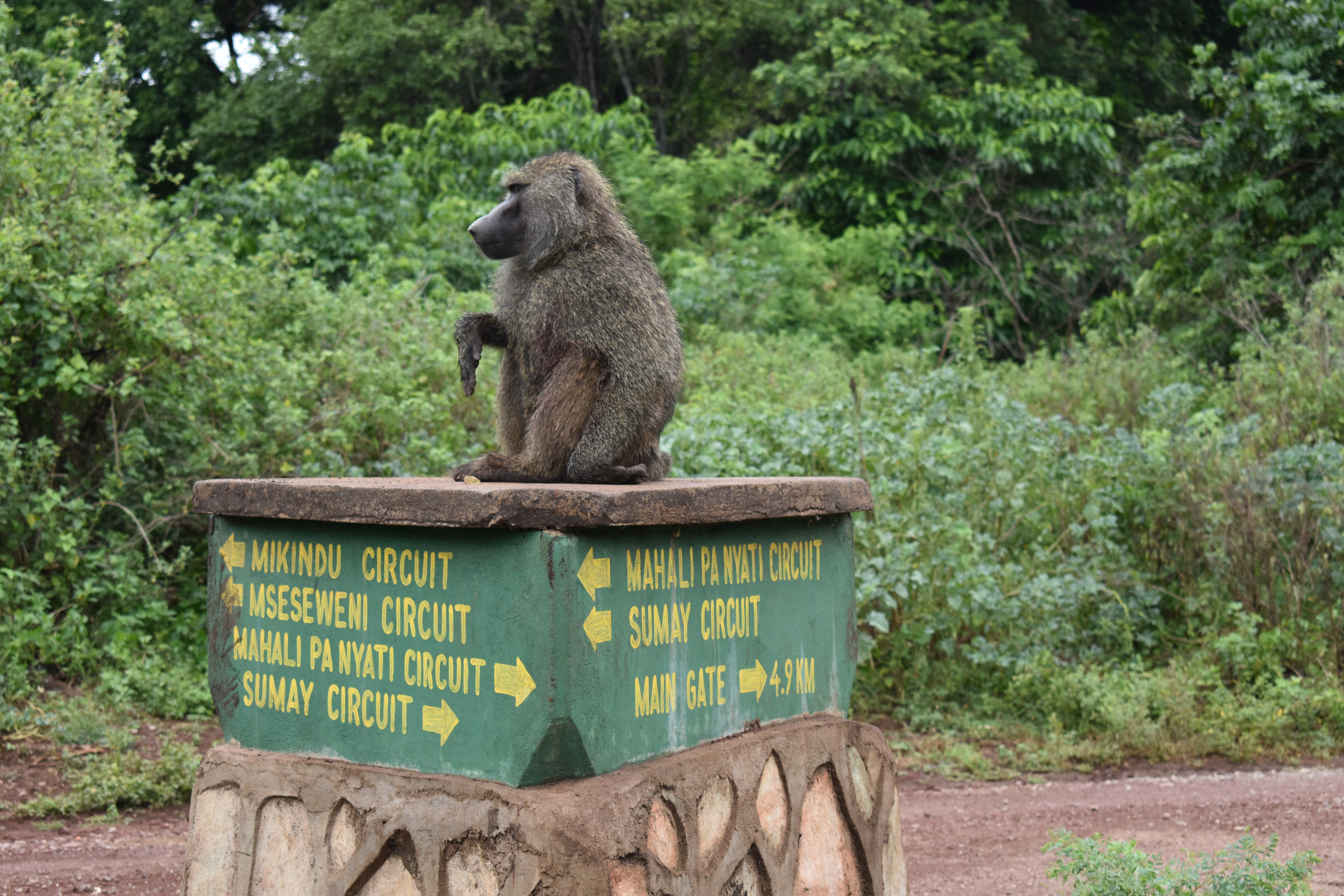 media_5EZE8J8FRXH4DUB2