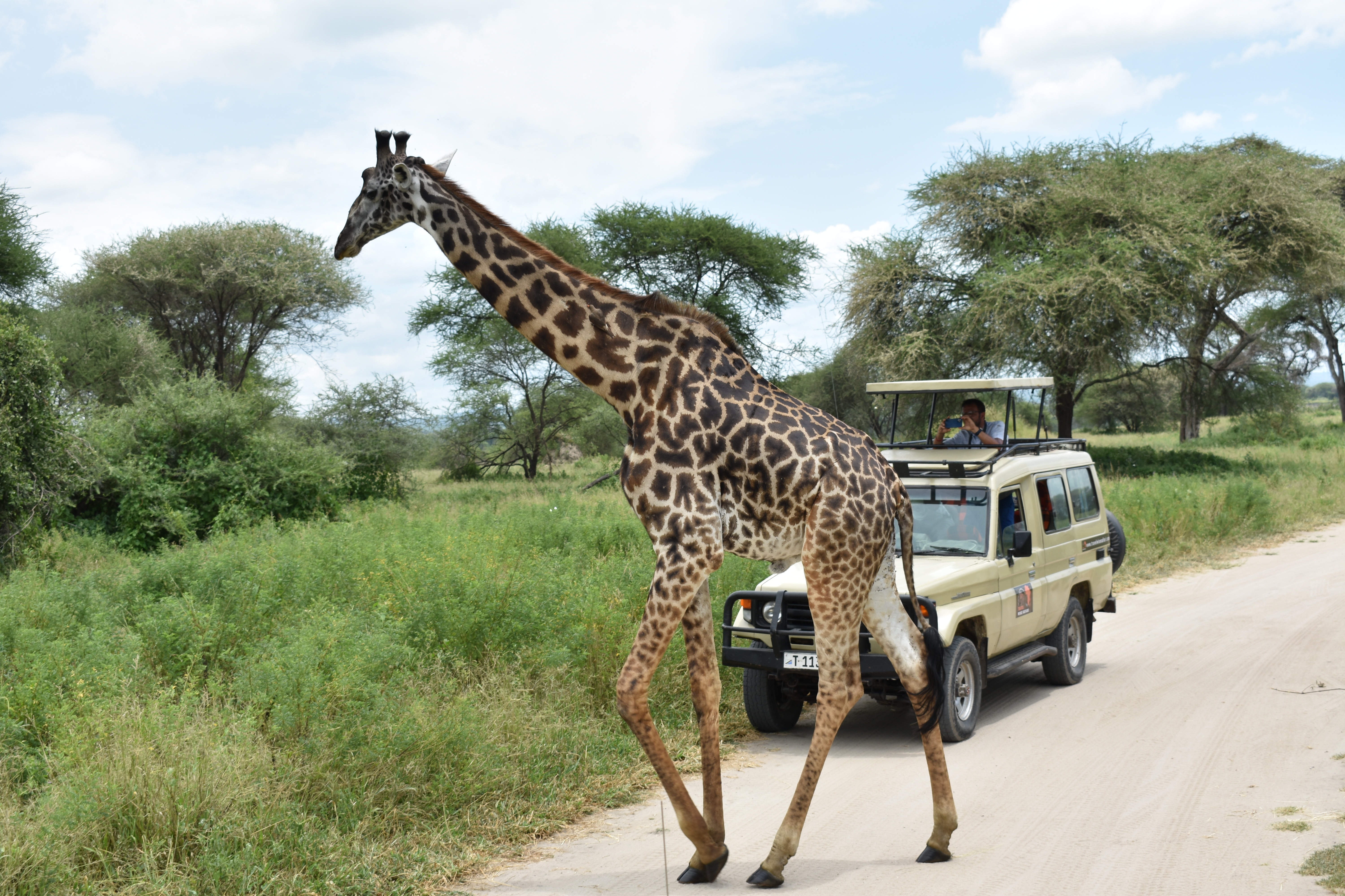 media_G6725GA4U2MPH3WY