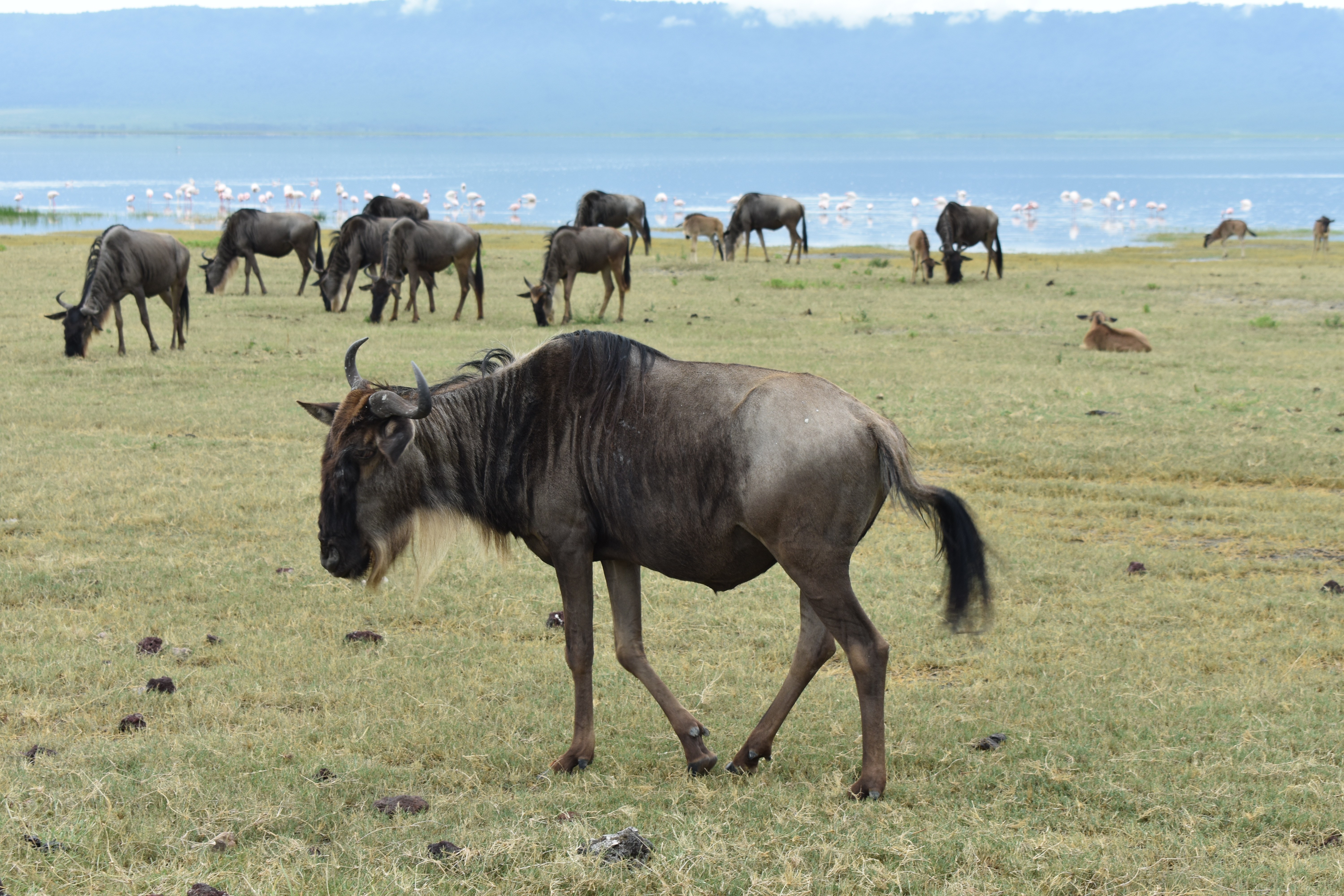 media_HVVVK6CF6AV4KSS8