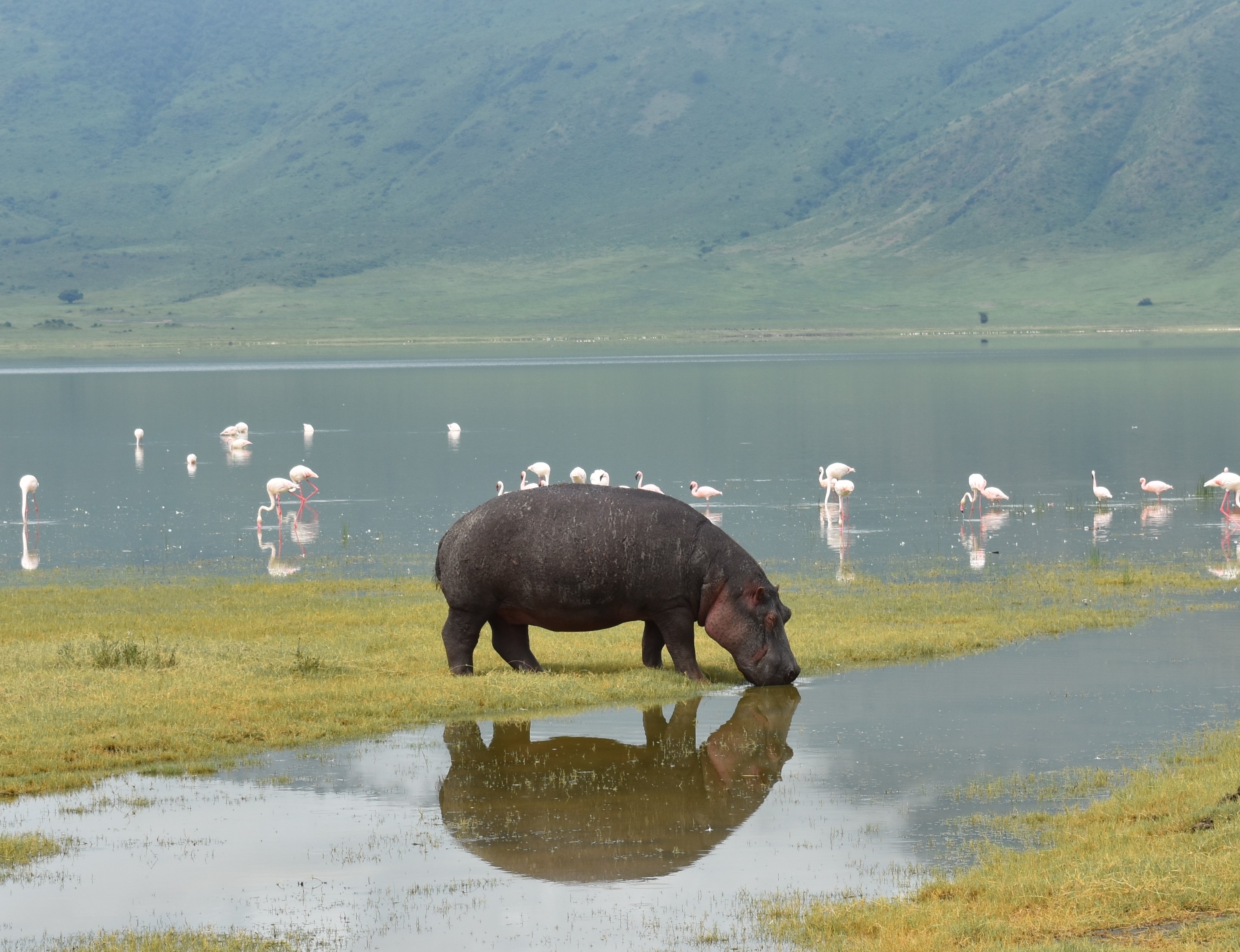 media_J3GRFRKXT2B6MF4B