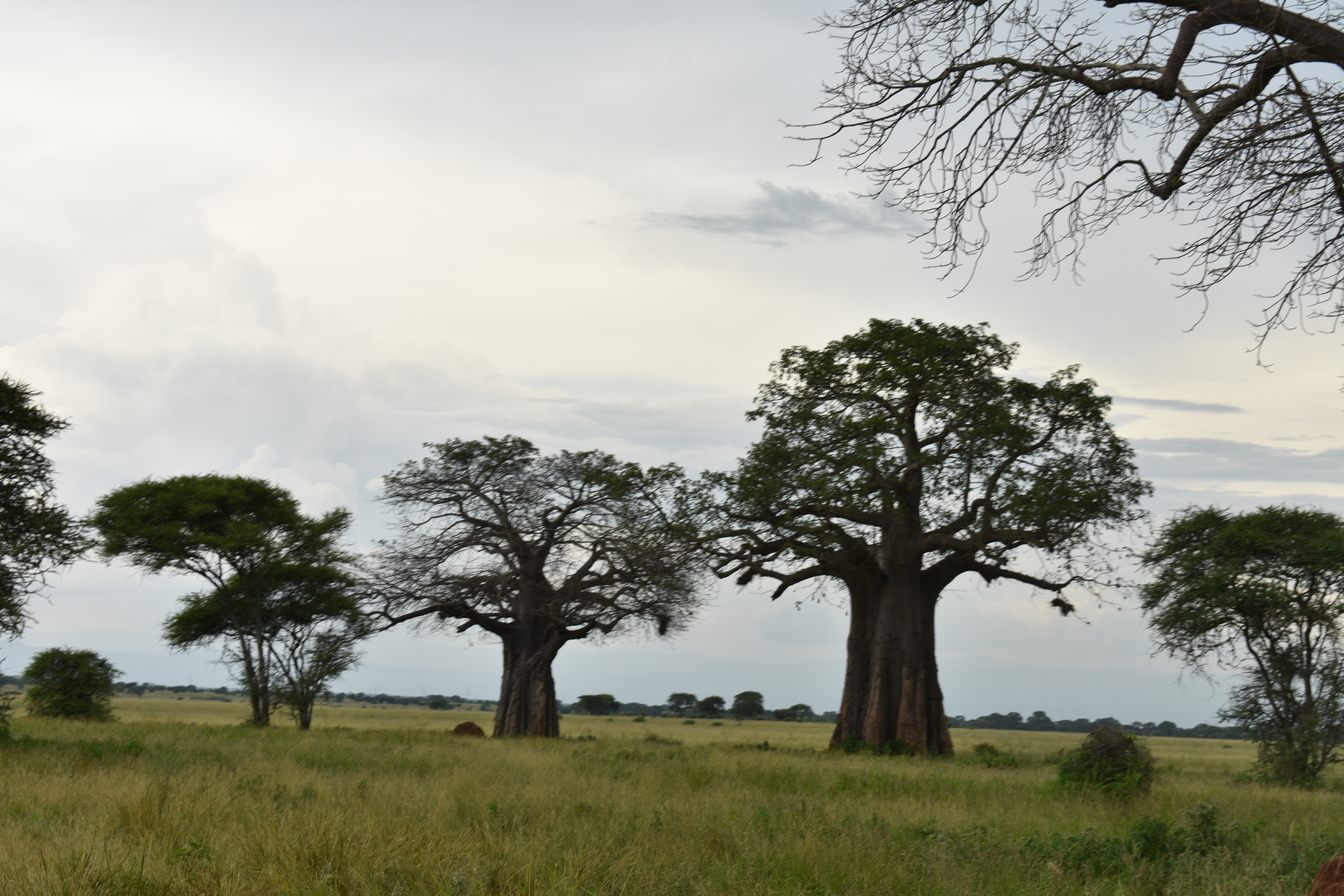 media_L82PWDRXXWZPK9NJ