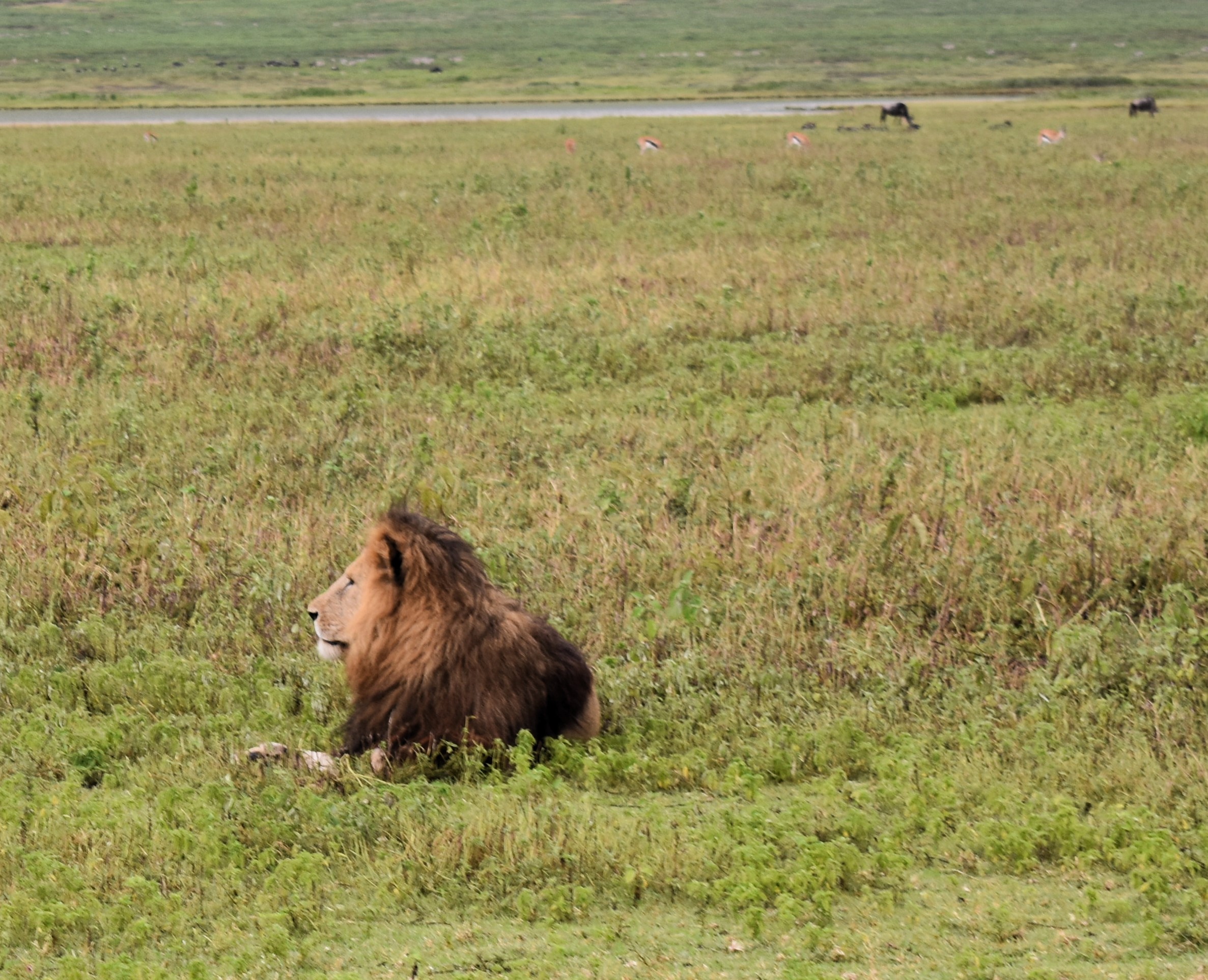 media_PHHNQZFQ8T6DM9J3