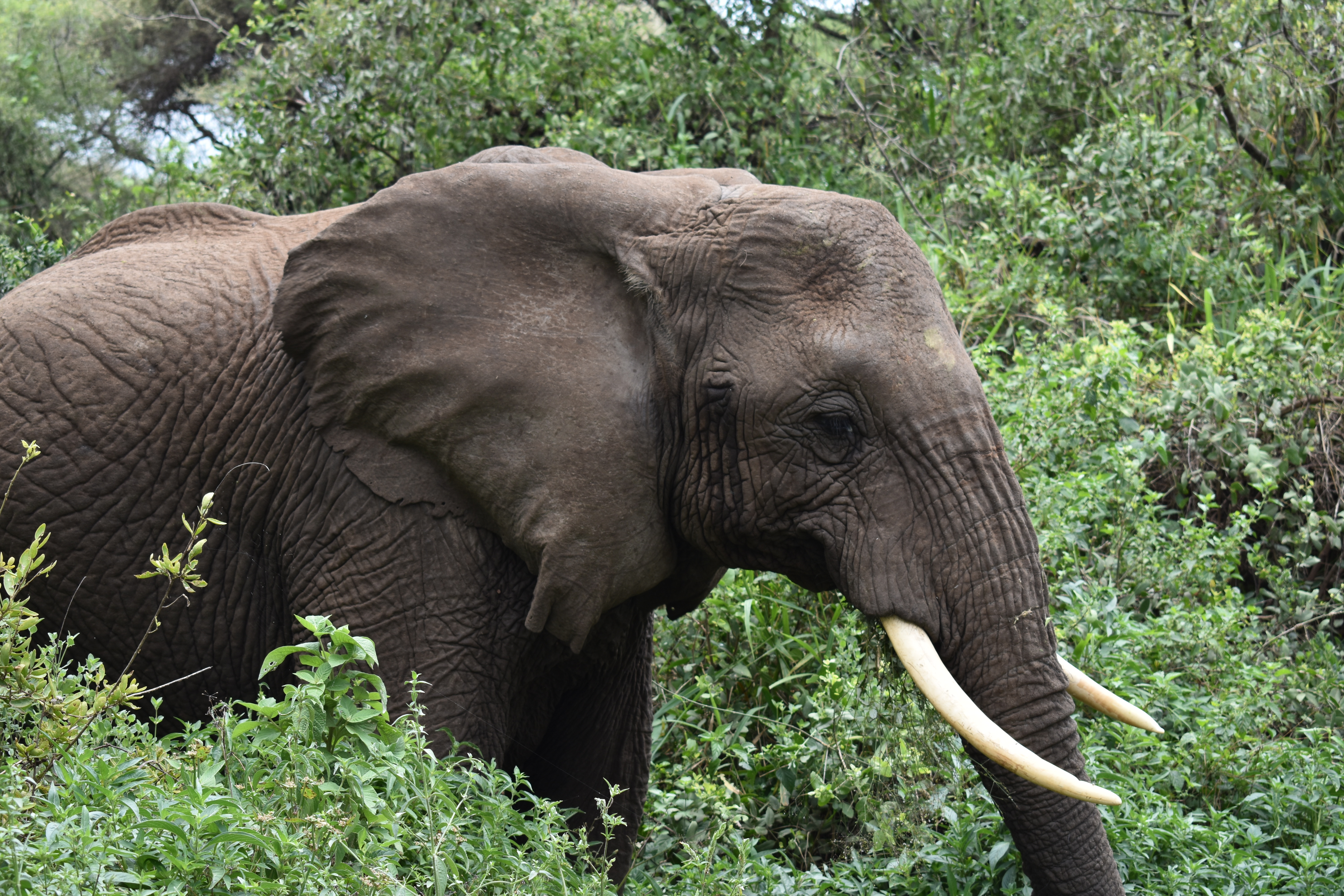 media_TUGAMQ5FS5N9MWSZ