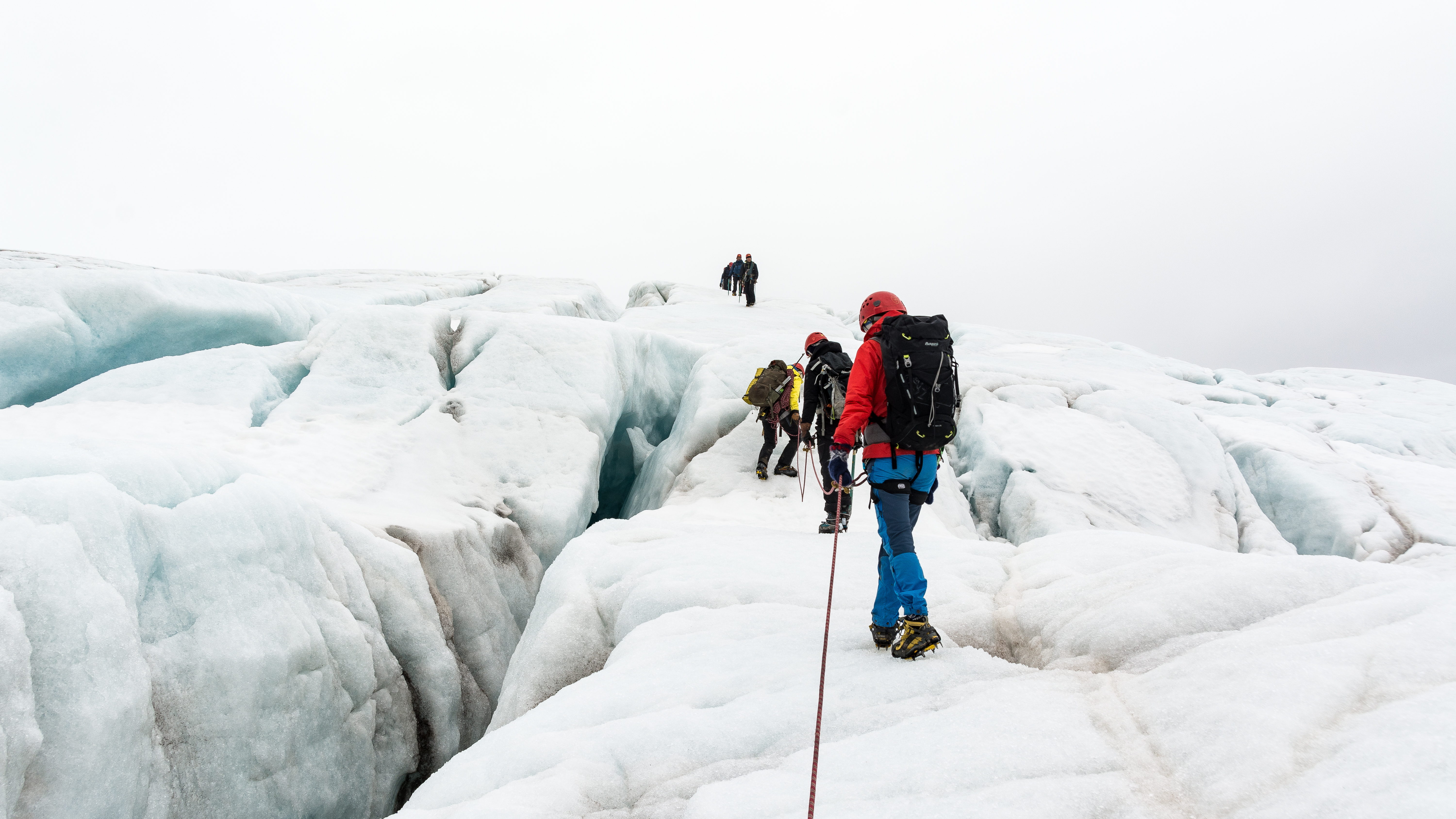 media_CWYMAZ8MHDY8ZNVS