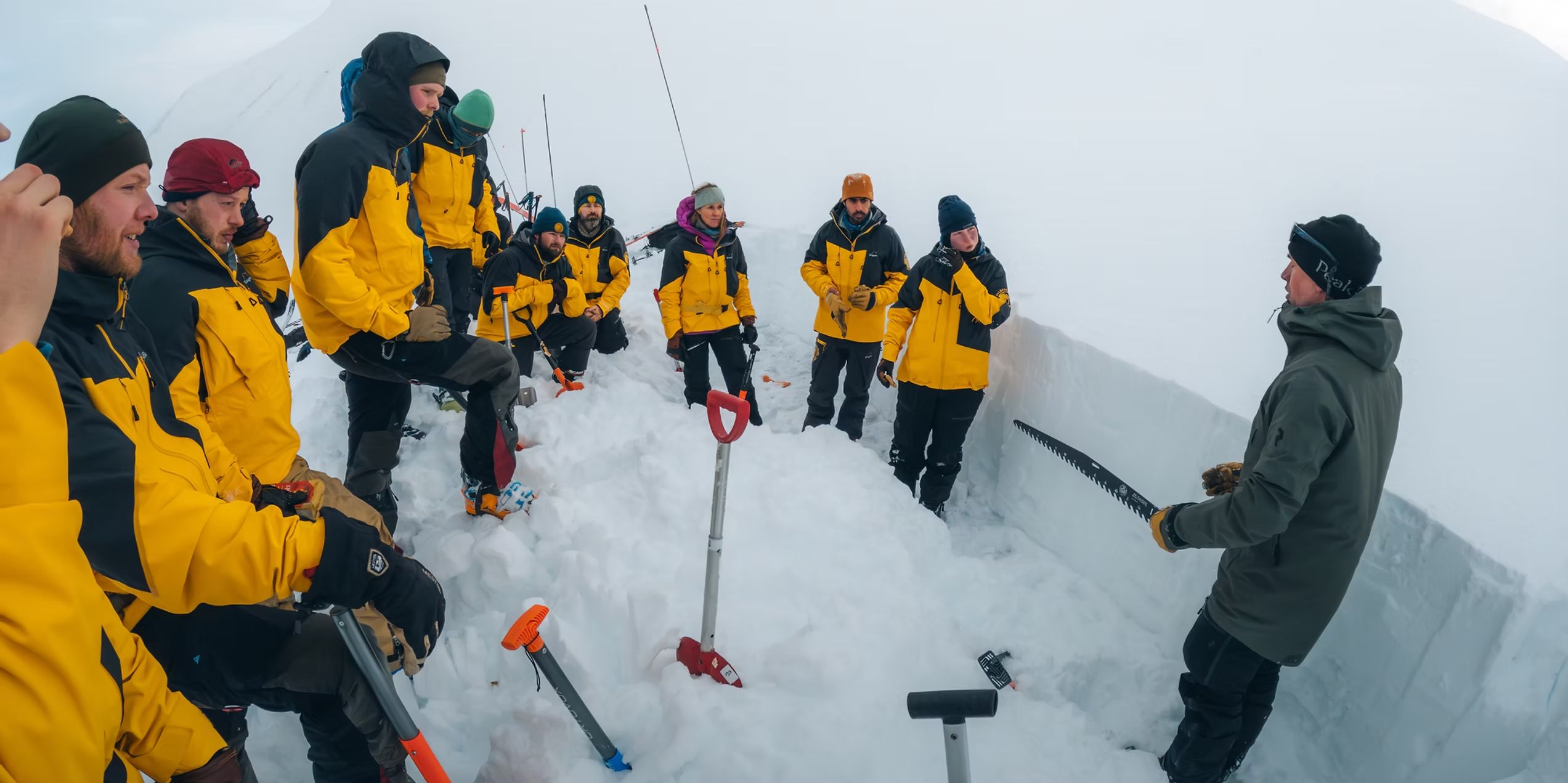 Svalbard Wildlife Expeditions