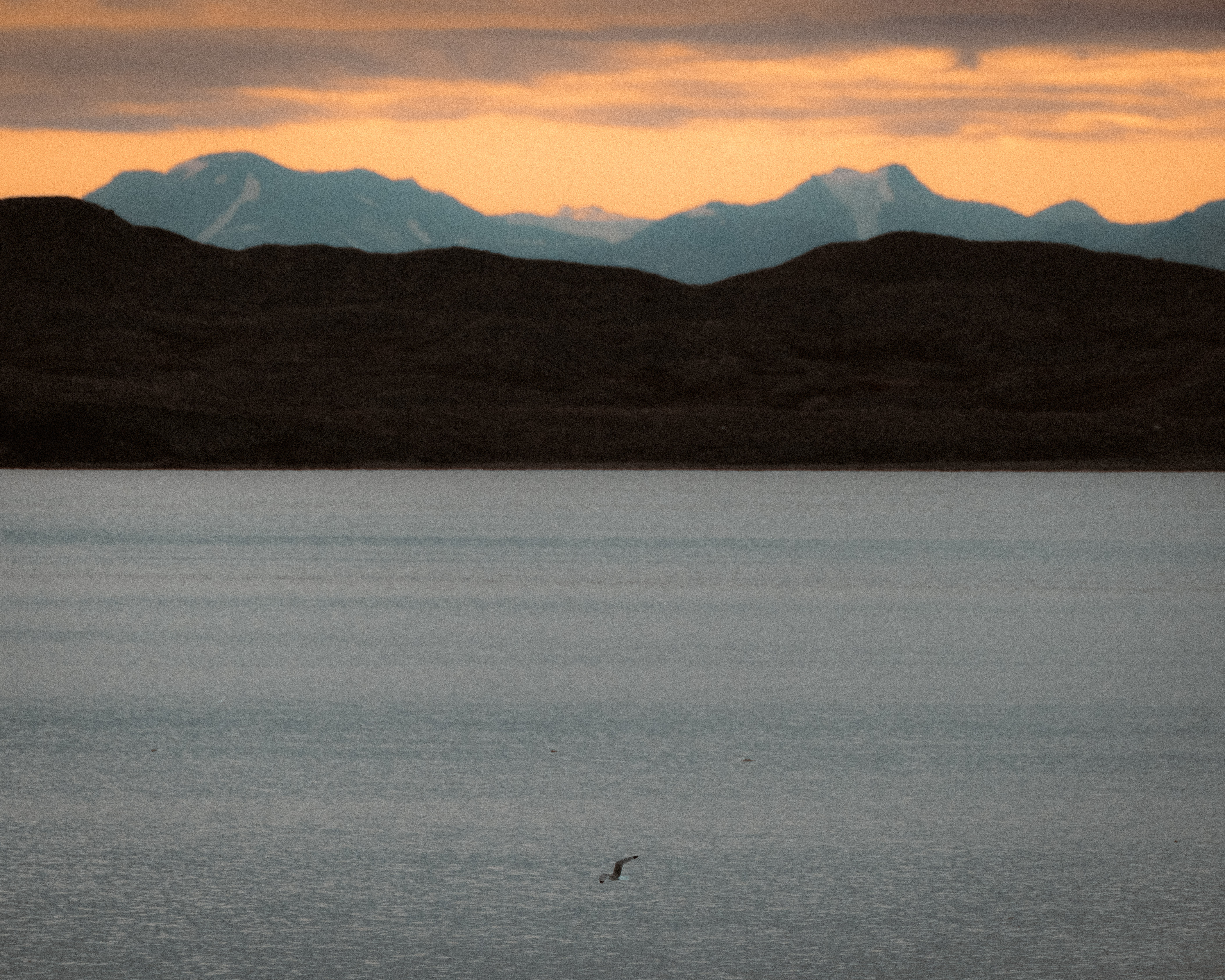 media_SKZUHBEA78V8H7FP