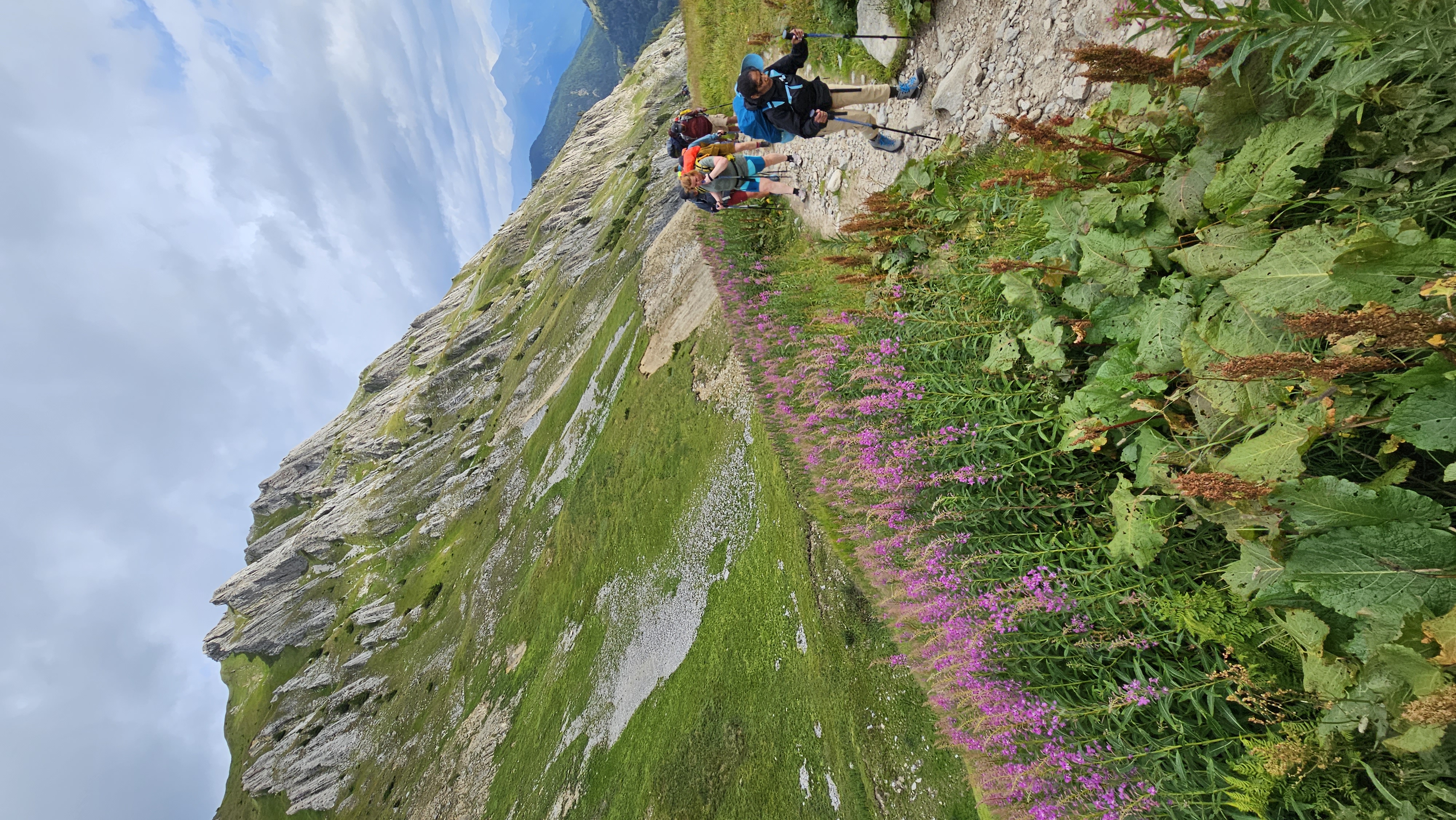 media_2UKAEJCG494YRAUA