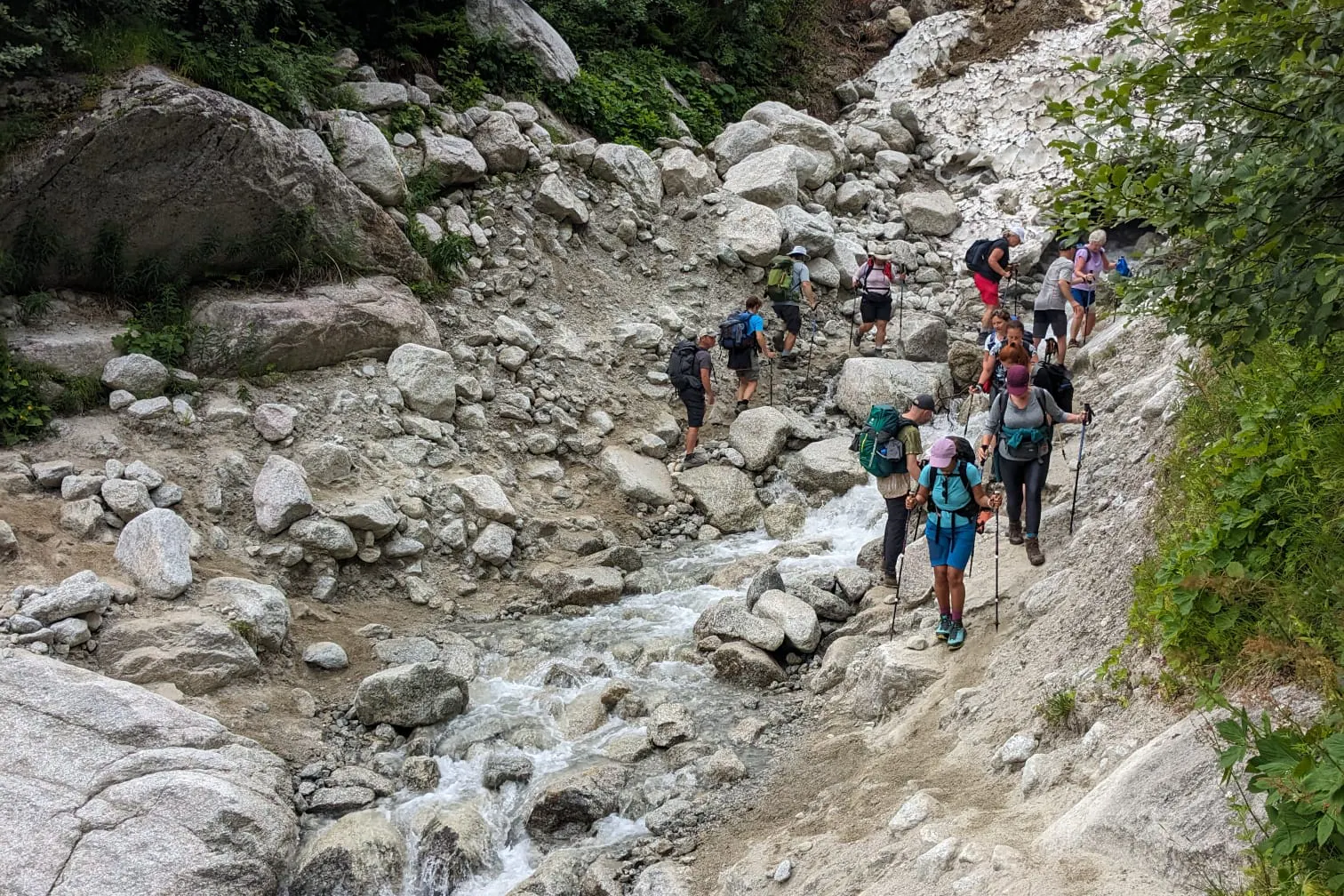 media_3C8MXY8BCSCL8N4A