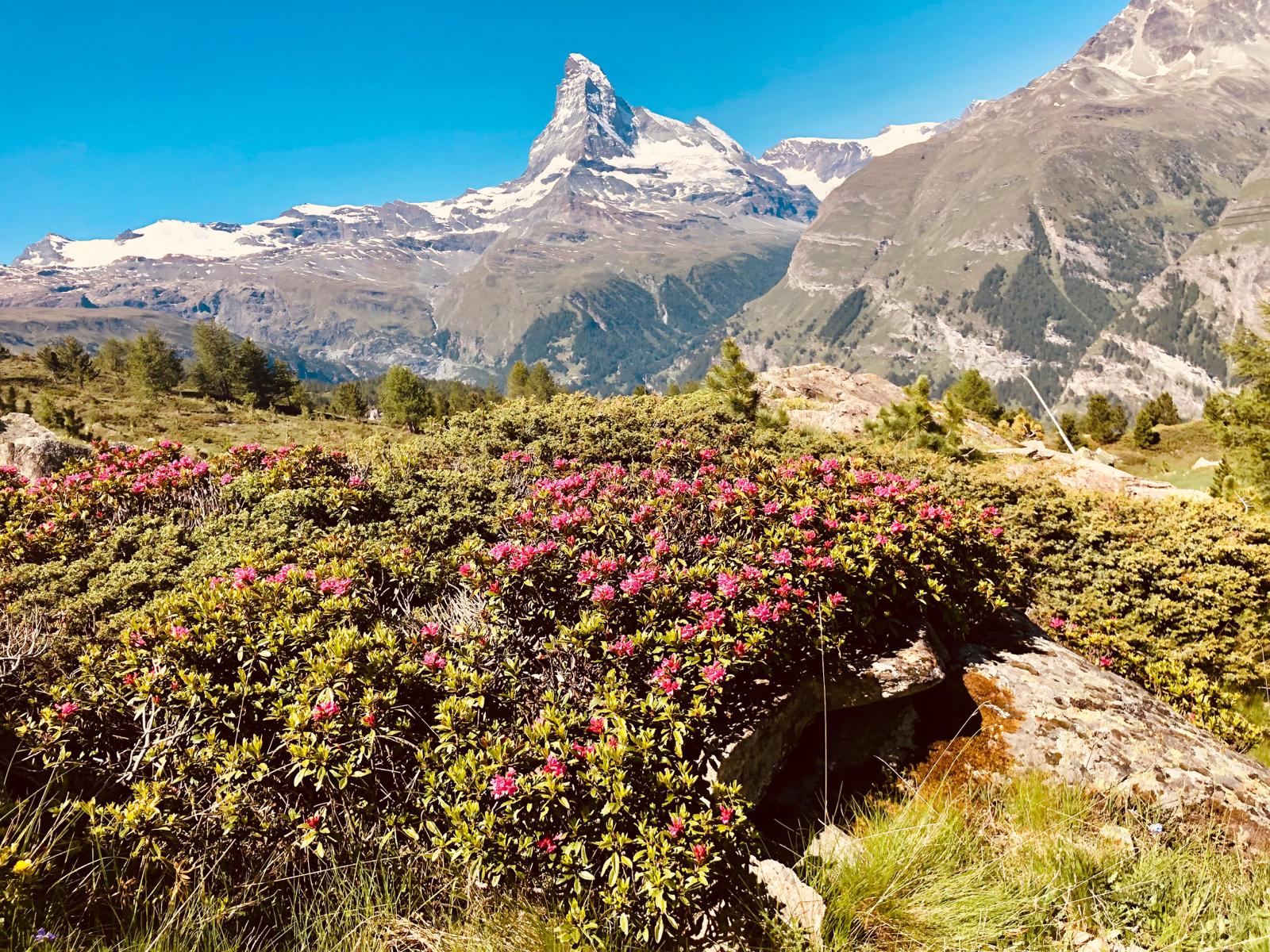 media_3JSEV84YQVJCPAGE