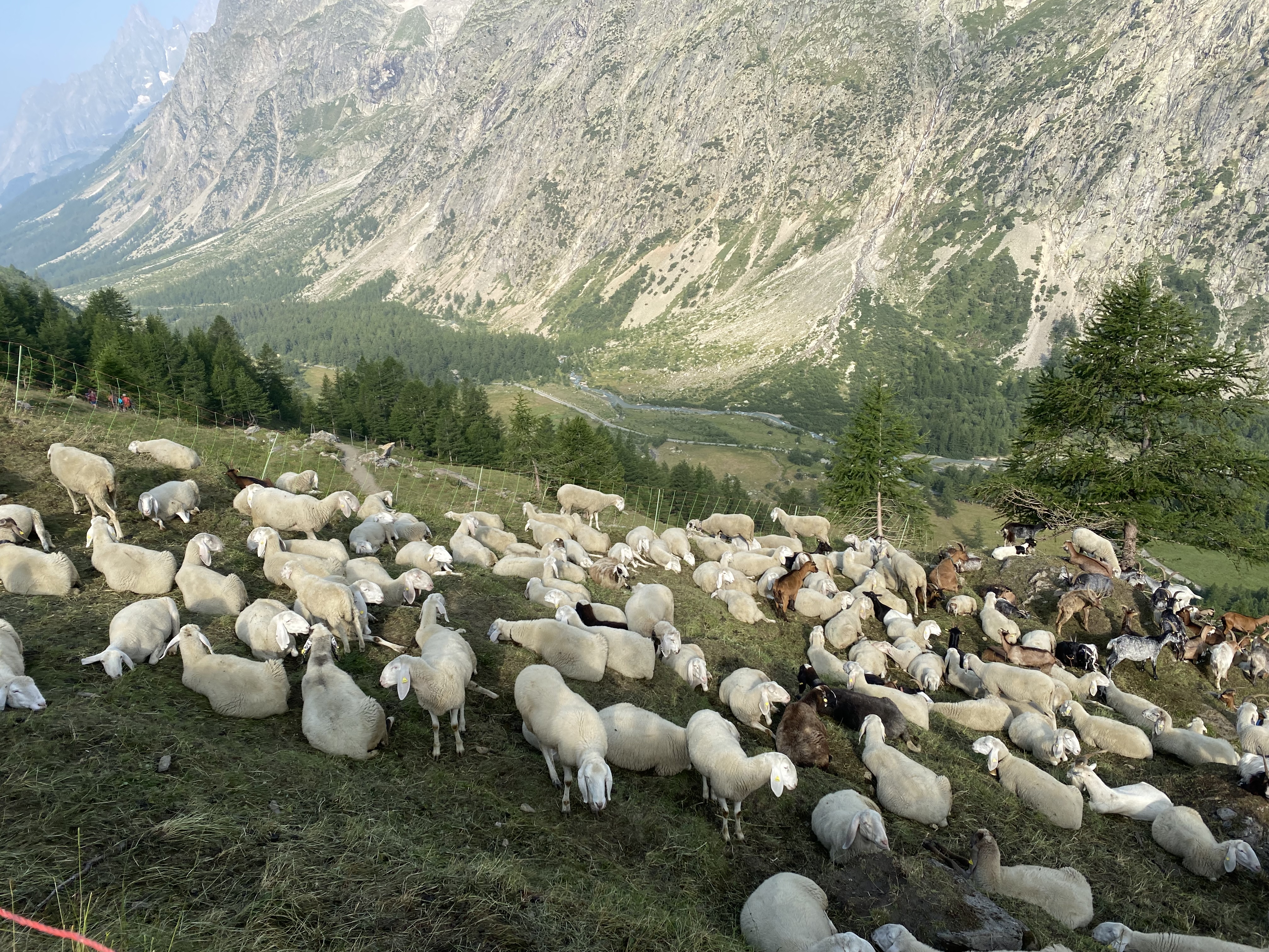 media_43HME8LDTX2NYUGD