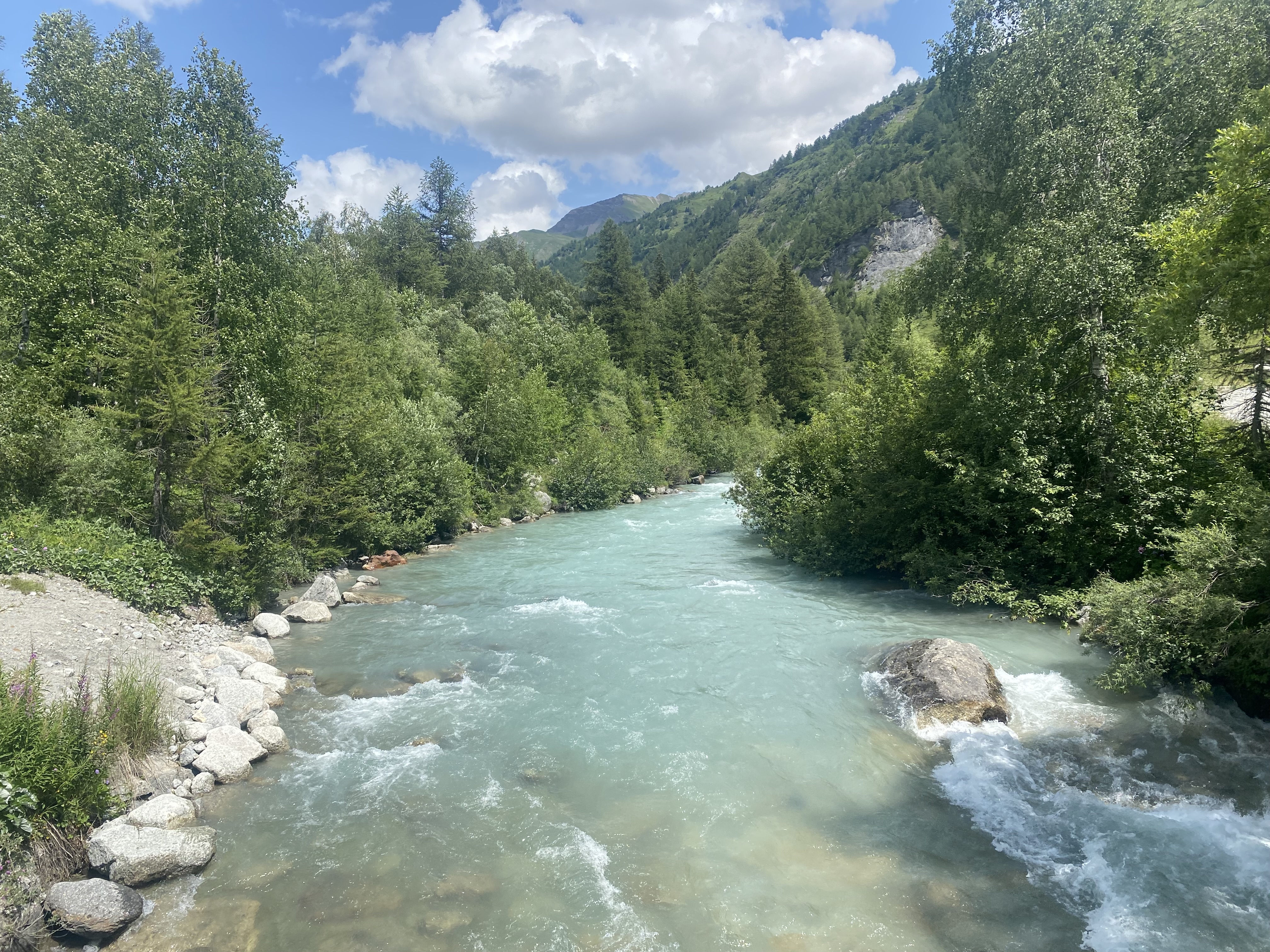 media_4CDU4CVJSSXZ89ER