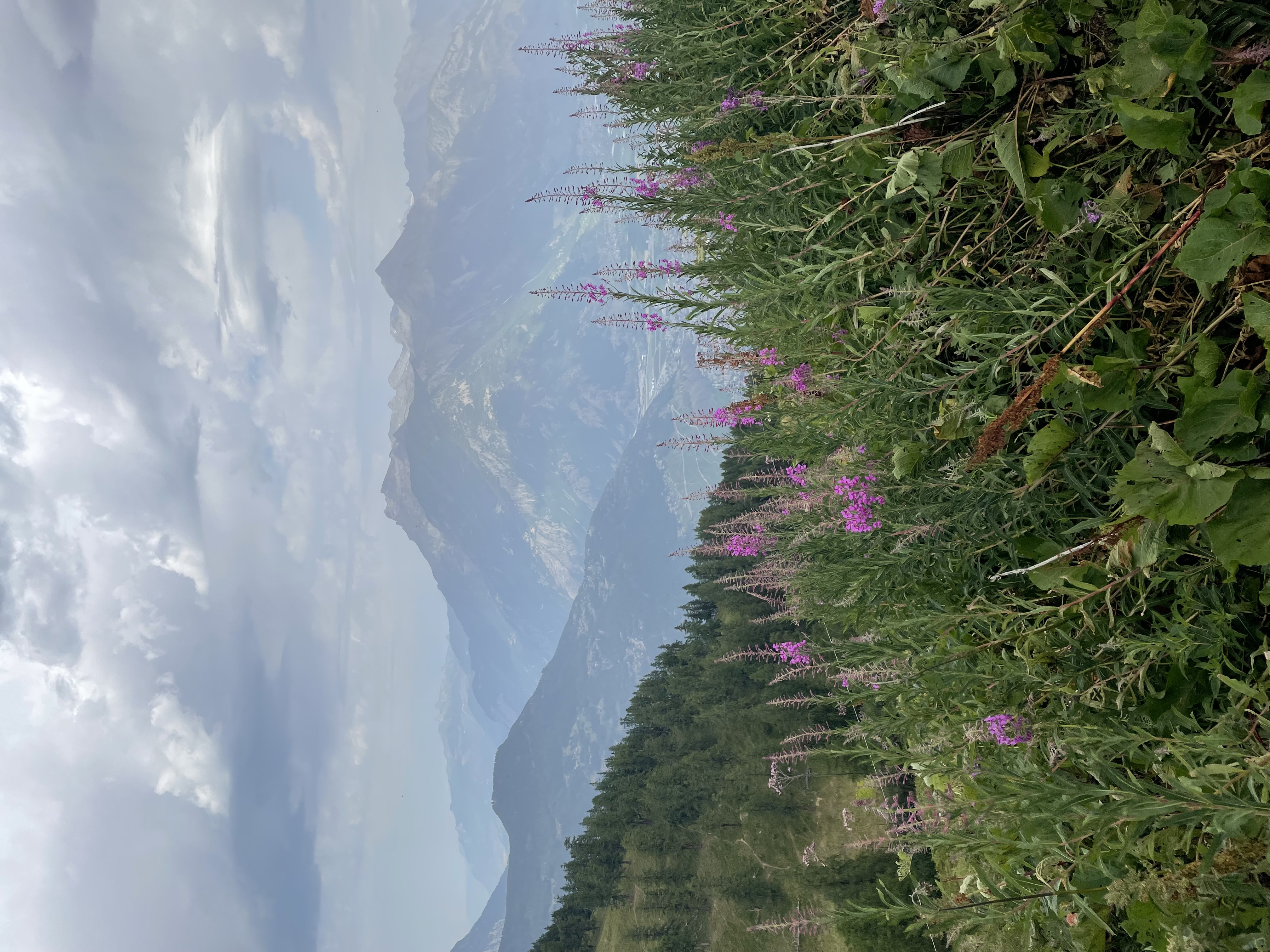 media_4DFFX9JPHMSVNNHG