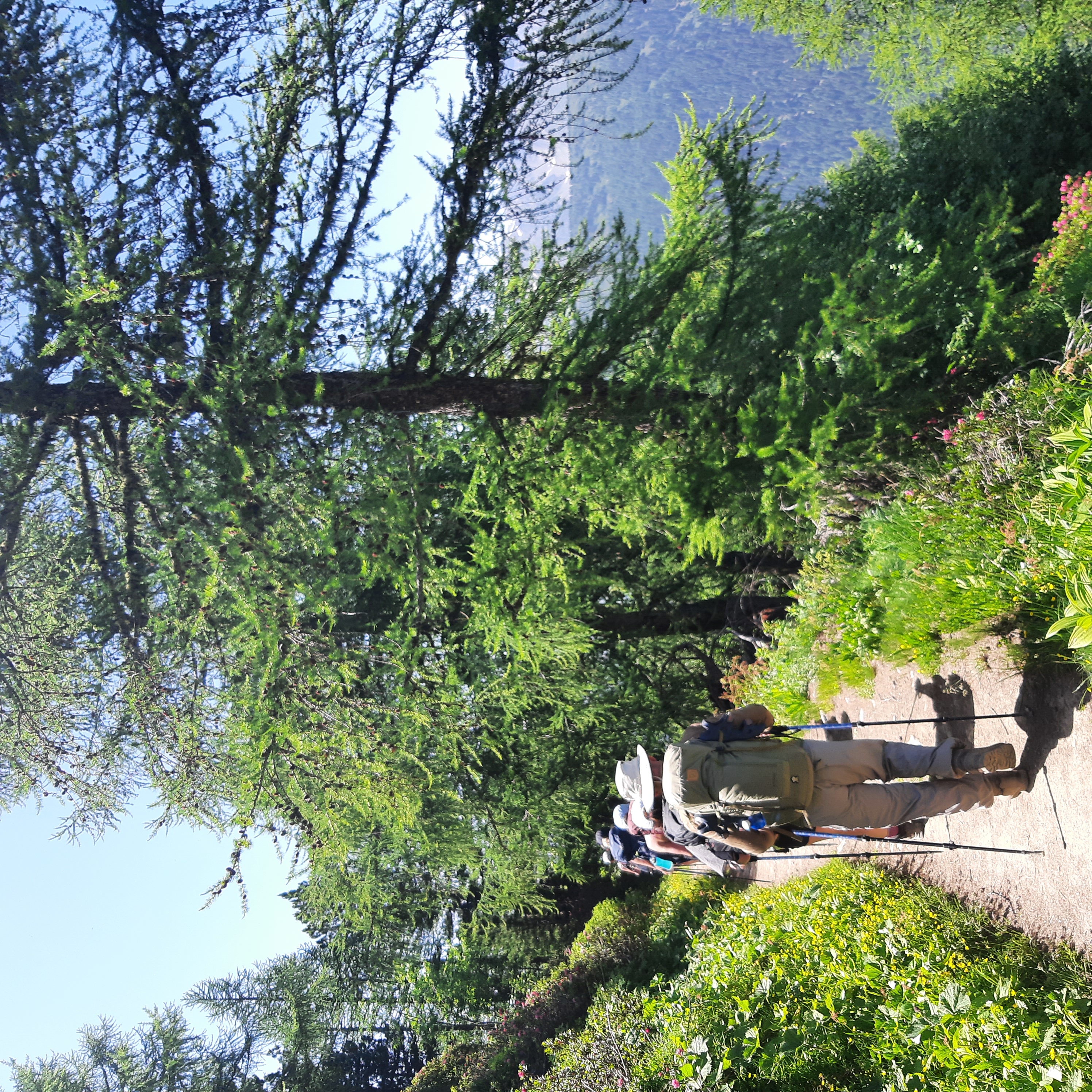 media_53VSQBCTN862P4LW