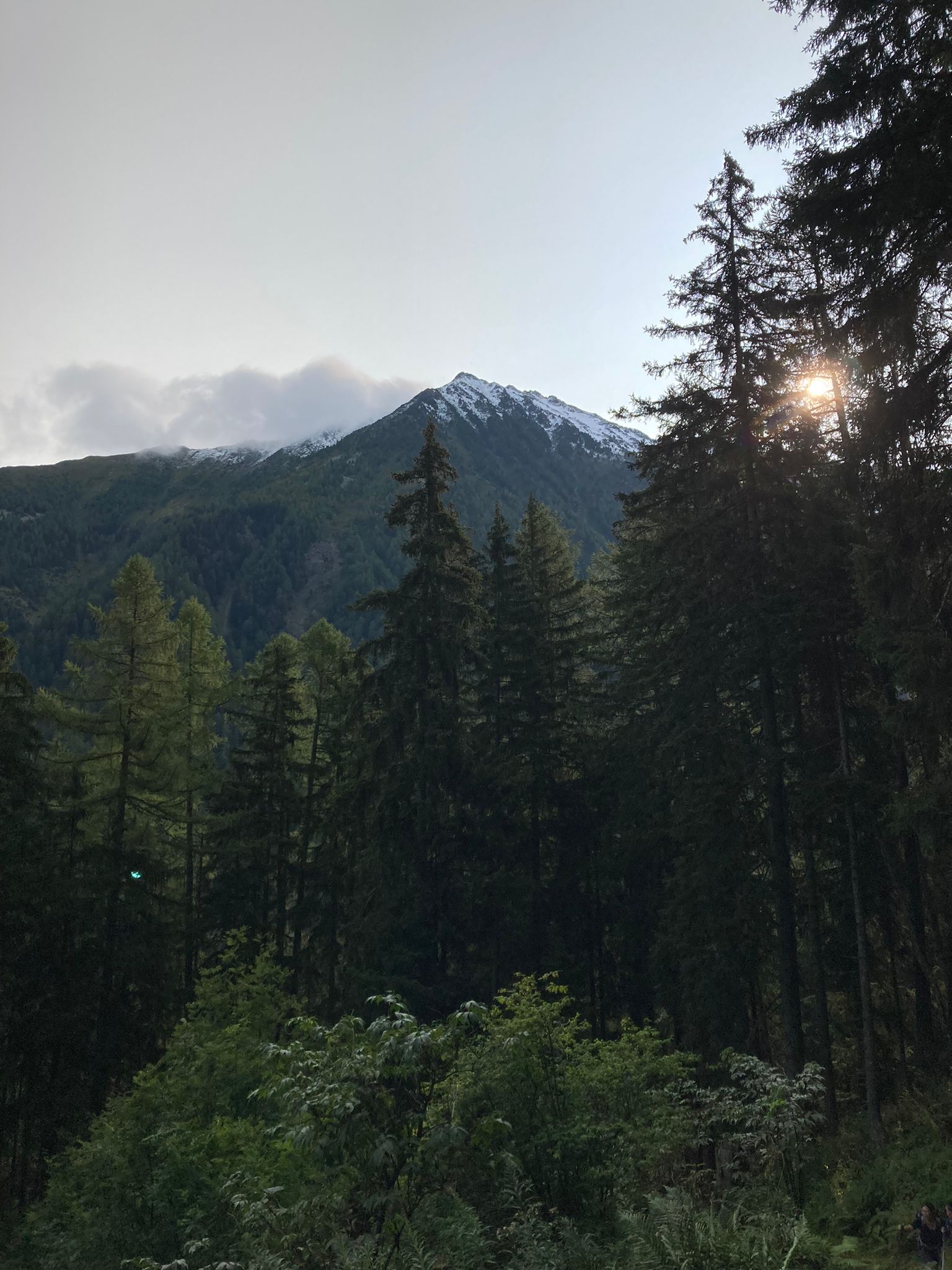 media_56LM6YABB4545UWL