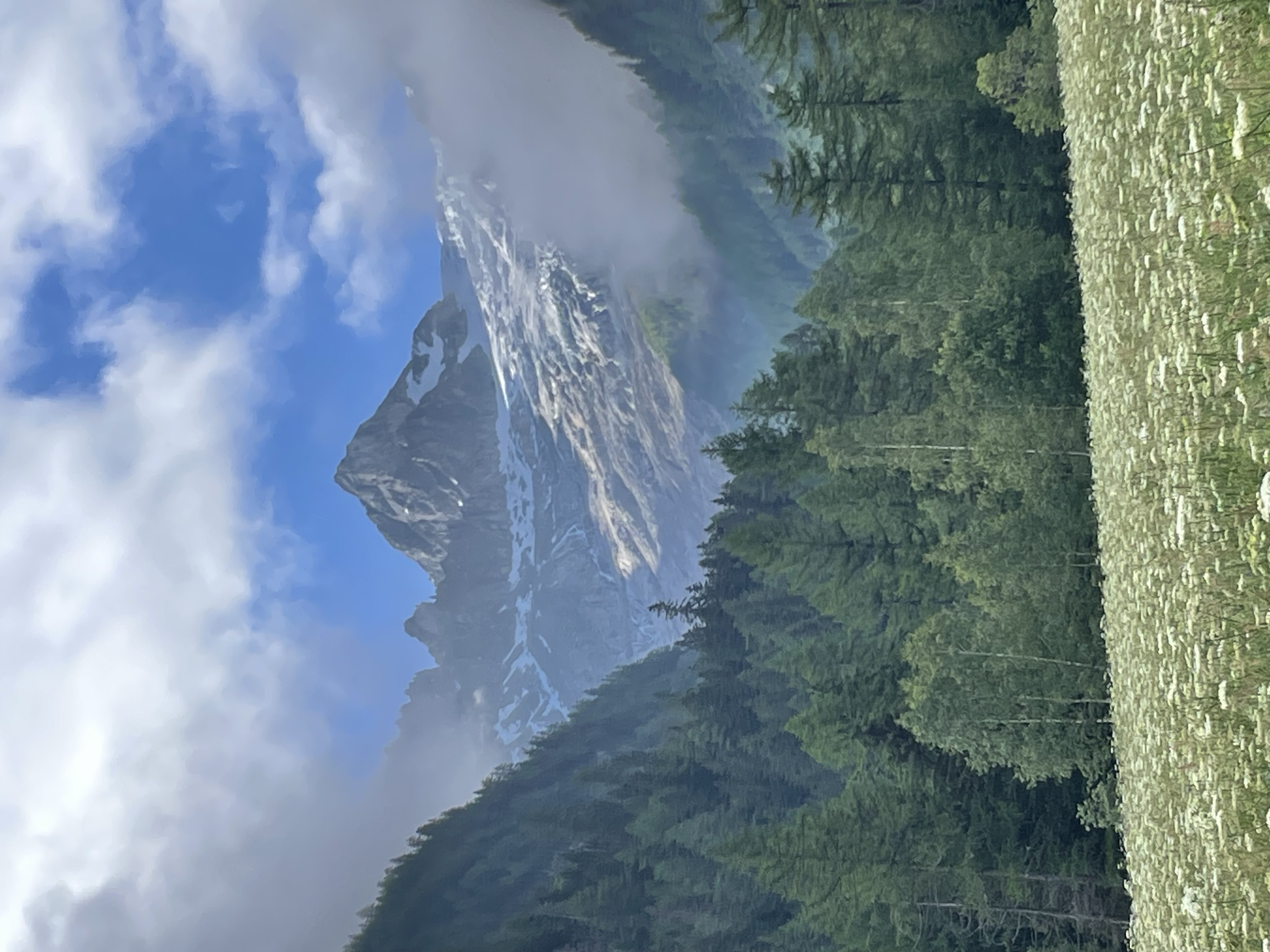 media_5FGJQC6WTLZPF6ZX